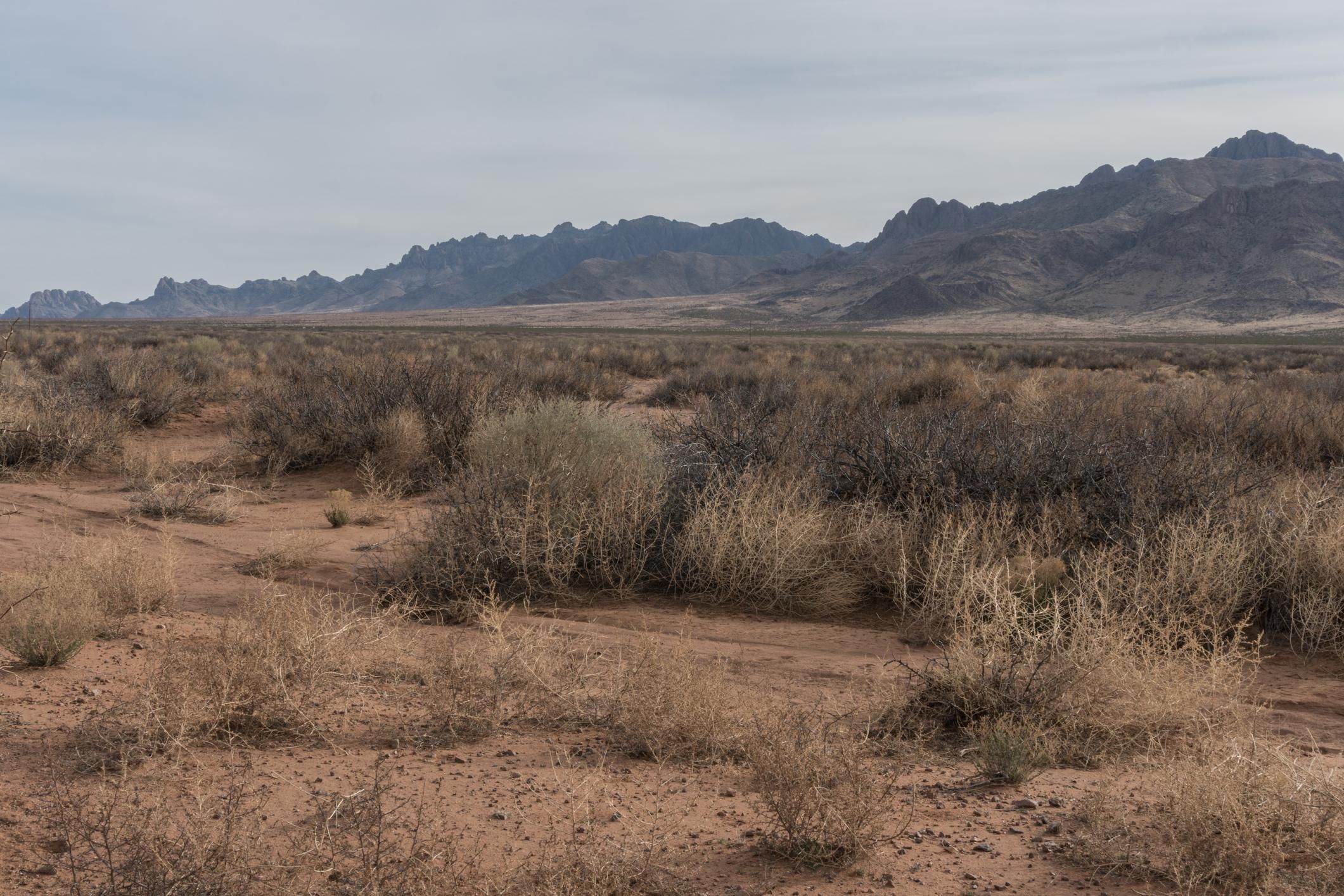 Deming, Luna County, NM Recreational Property, Undeveloped Land