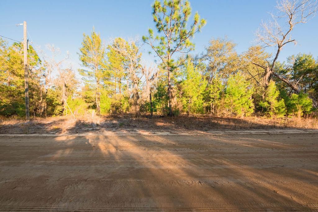 Interlachen, Putnam County, FL Recreational Property, Undeveloped Land