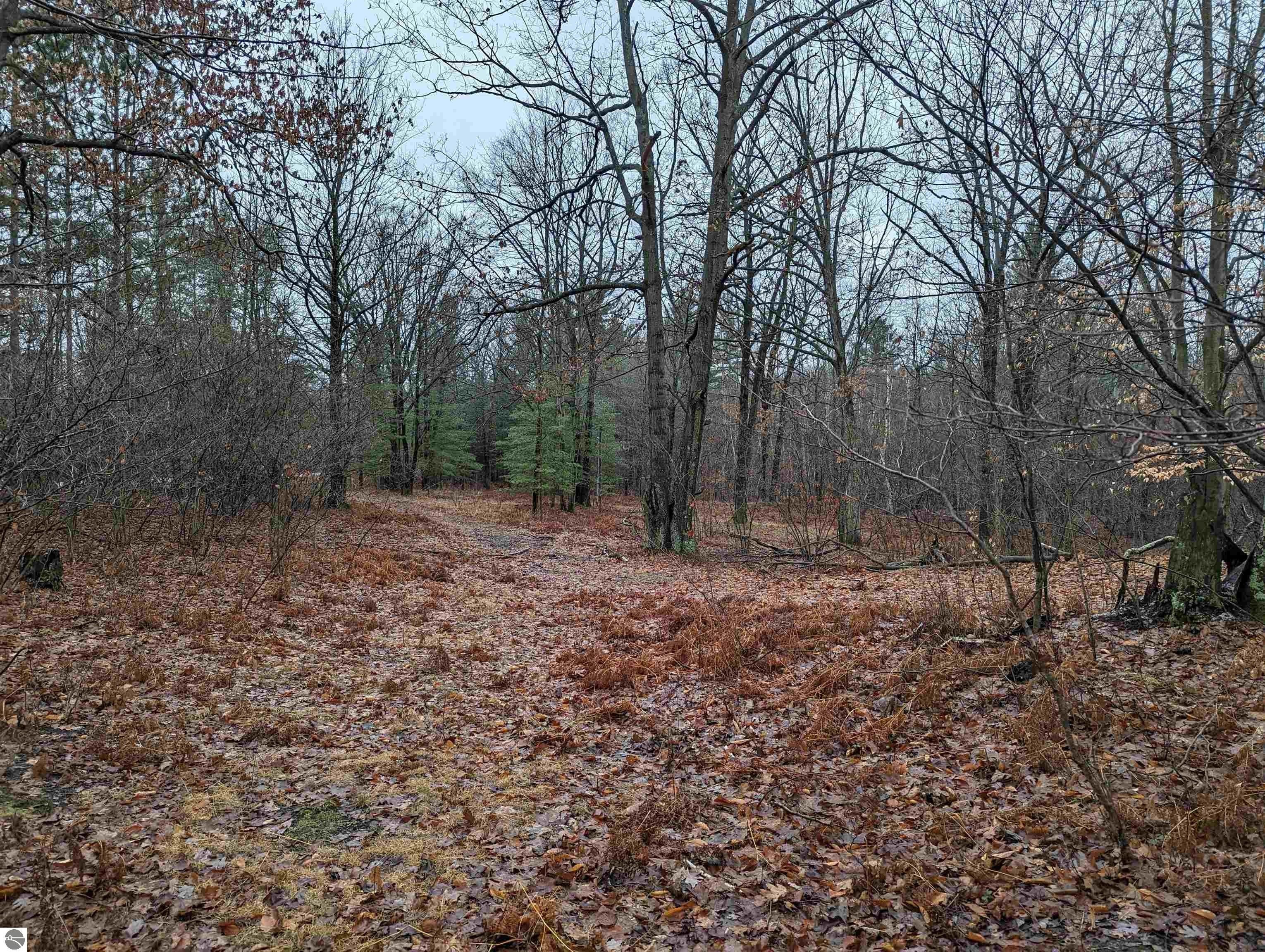 Bentley, Gladwin County, MI Undeveloped Land, Lakefront Property