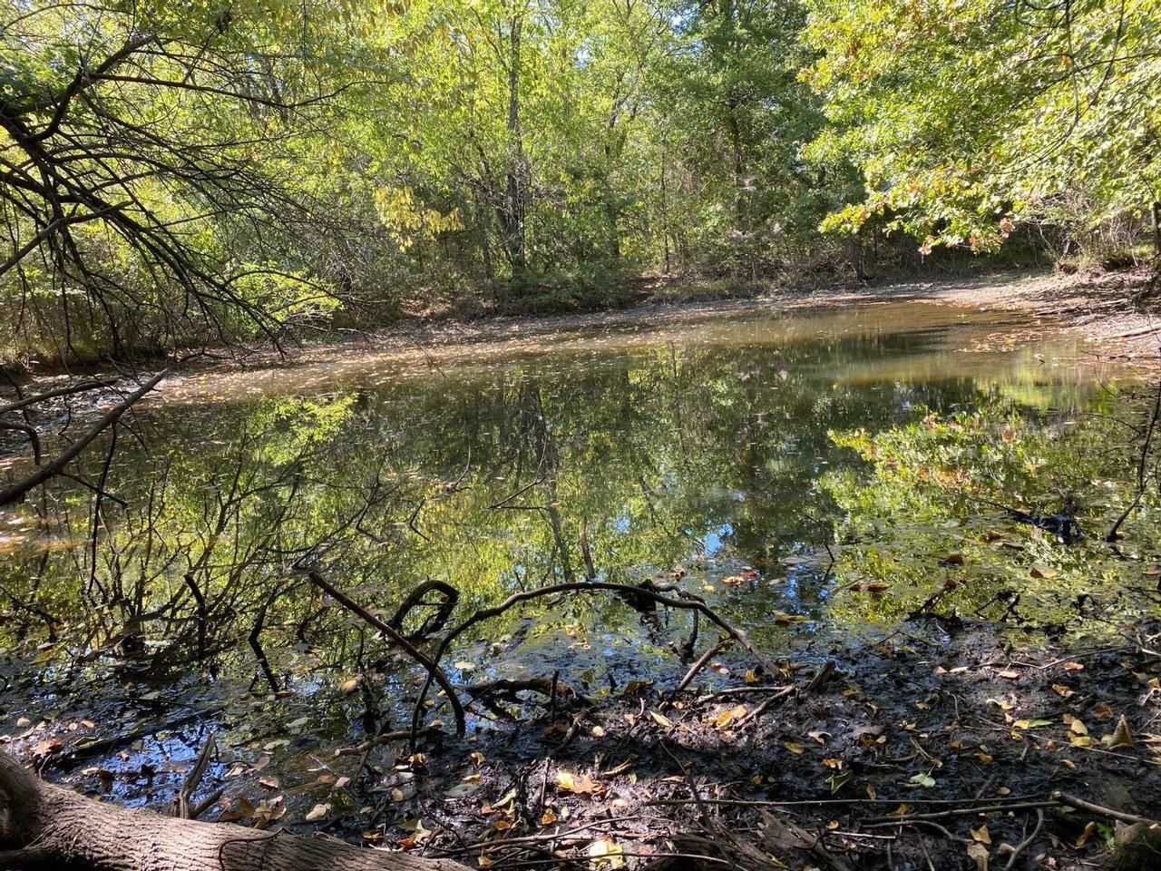 Bennington, Bryan County, OK Recreational Property, Undeveloped Land