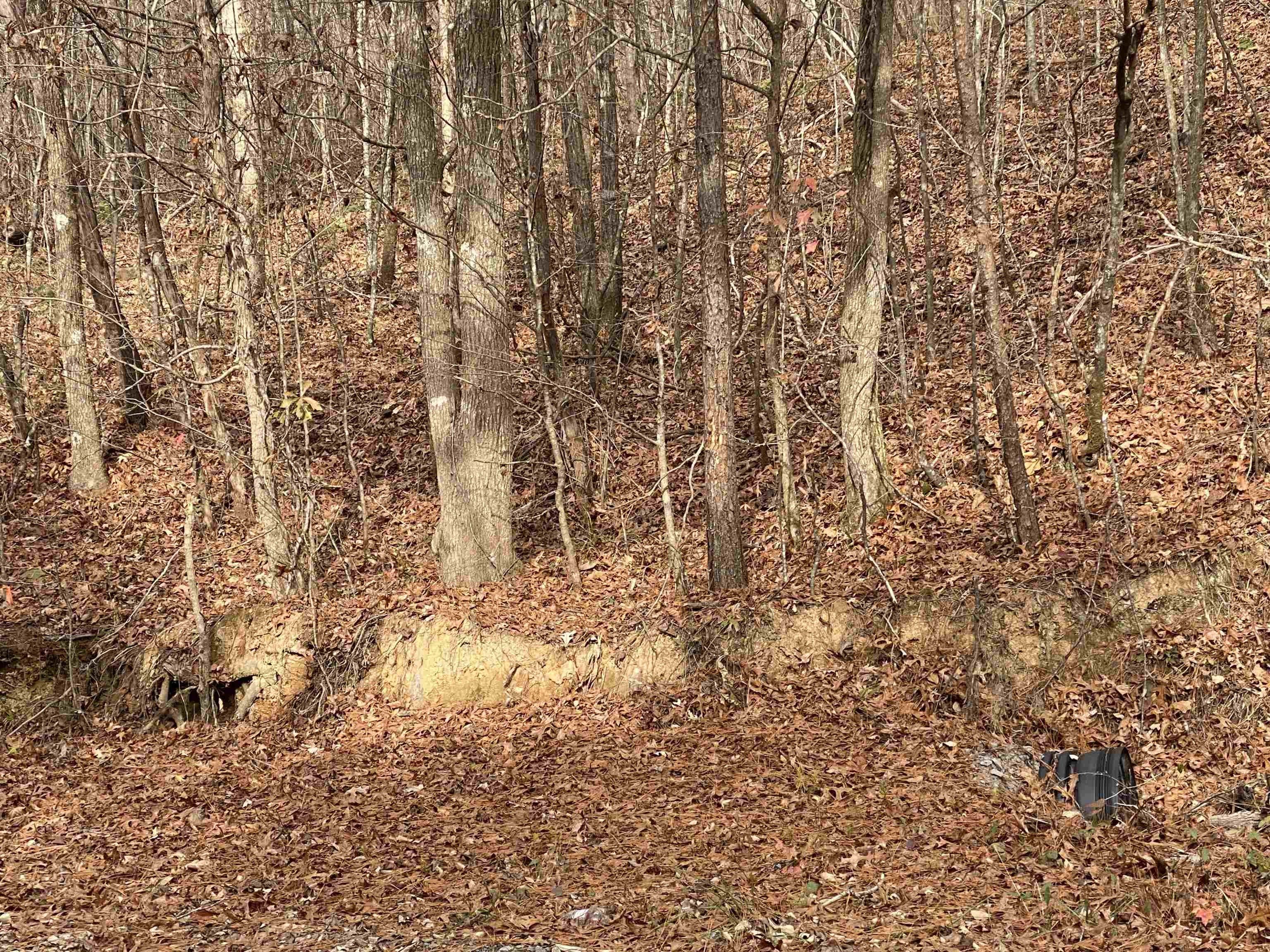 Bremen, Cullman County, AL Undeveloped Land for sale Property ID