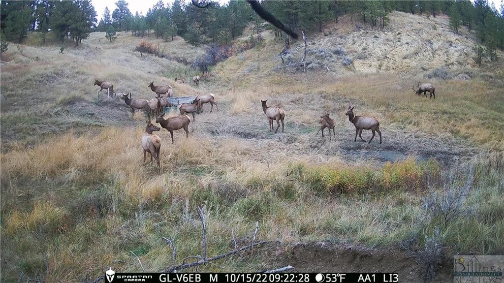 159 Rd, Broadus, MT 59317 MLS 337810 LandWatch