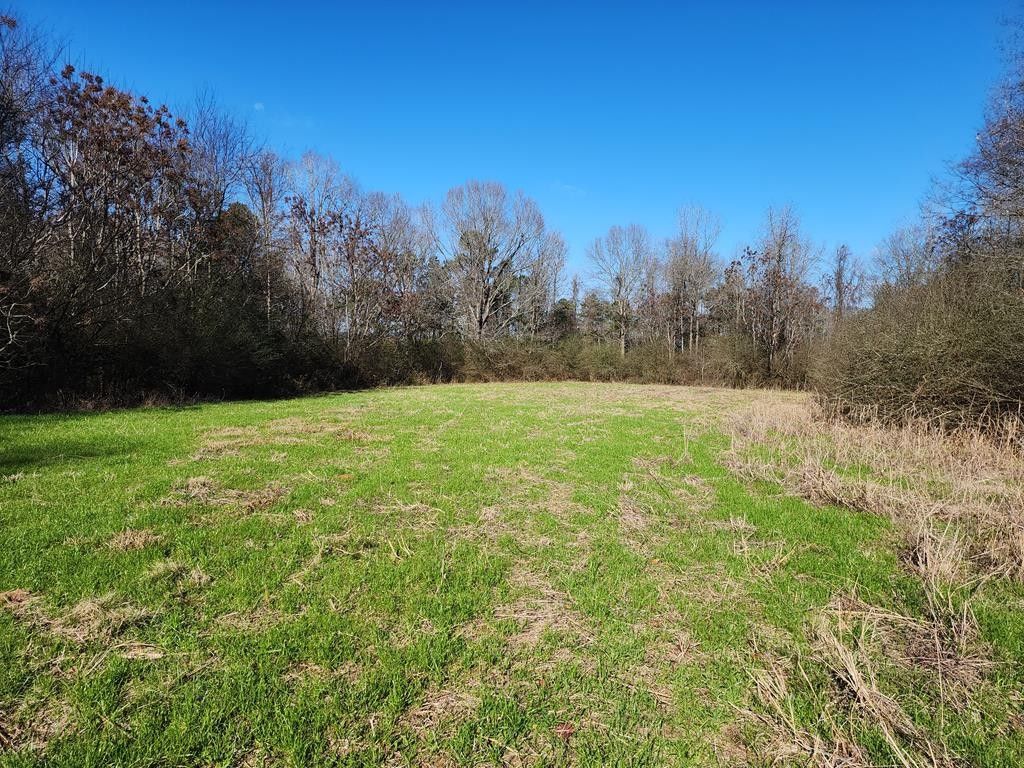 Wesson, Copiah County, MS Undeveloped Land for sale Property ID