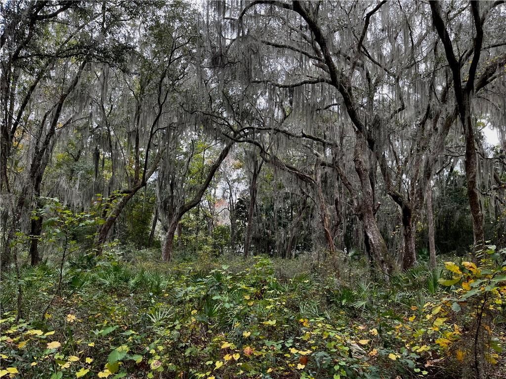 Darien, McIntosh County, GA Undeveloped Land, Homesites for sale