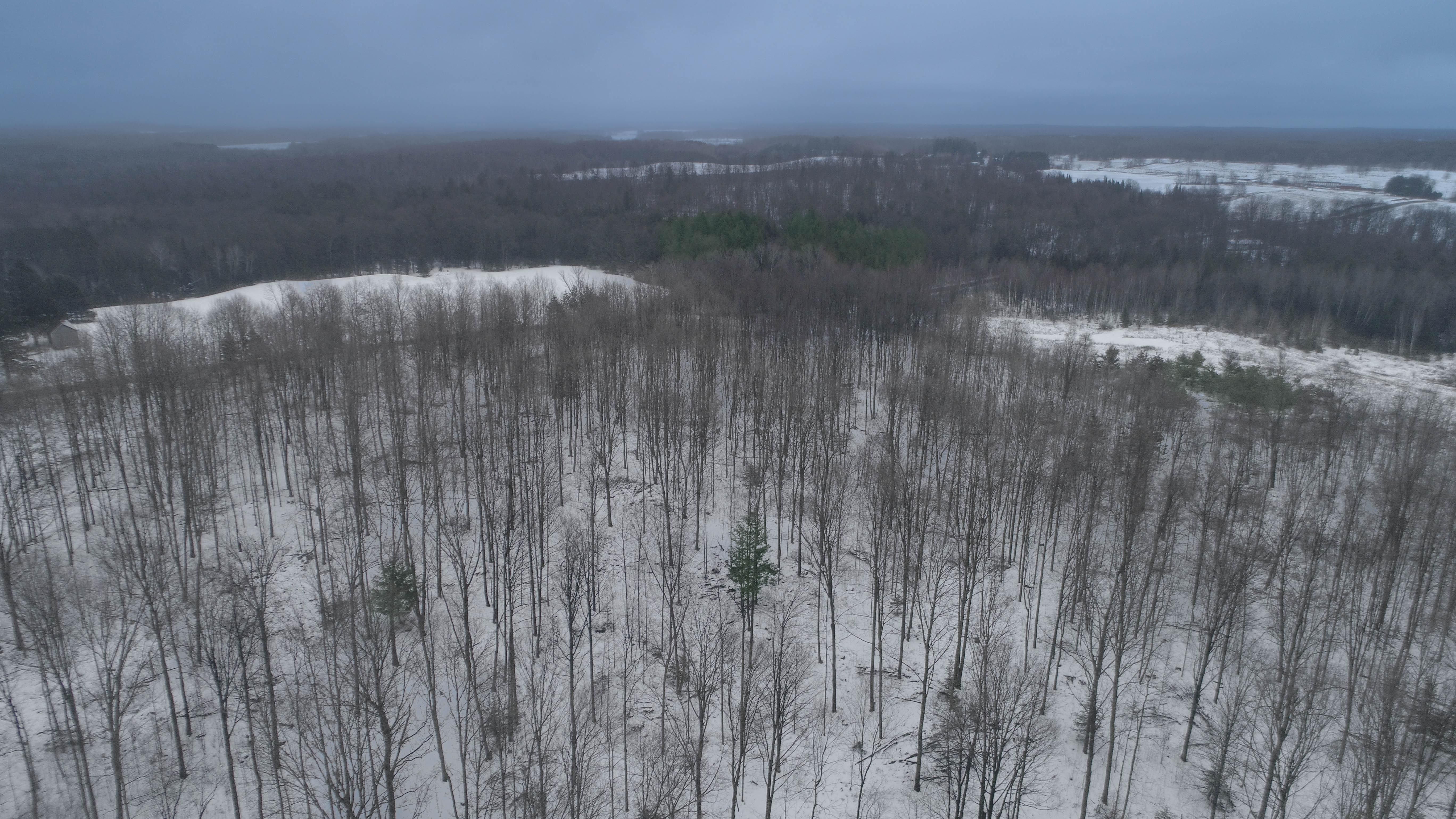 Antigo, Langlade County, WI Recreational Property, Hunting Property for