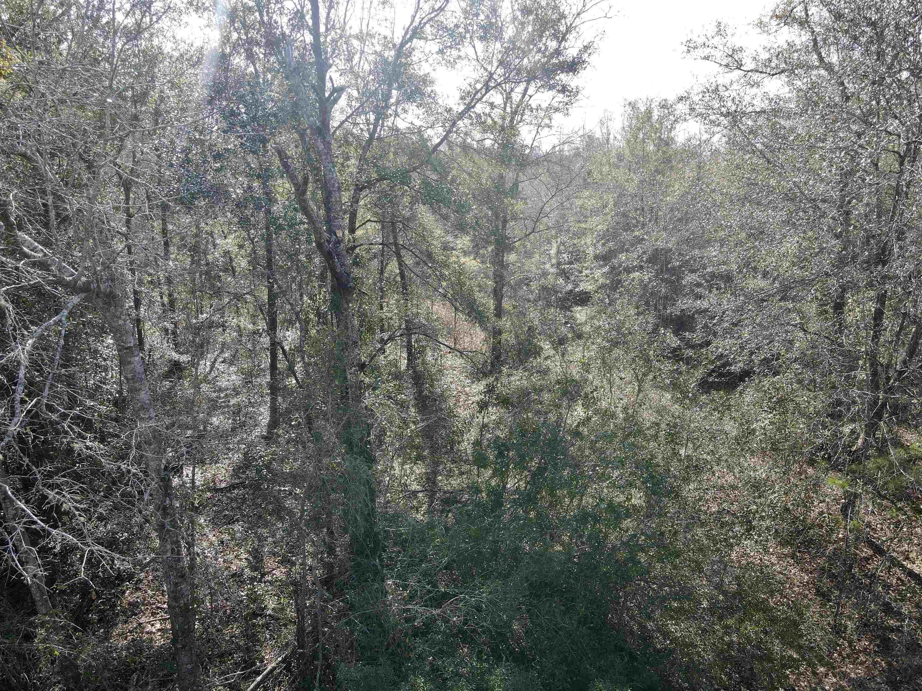 Madison, Madison County, FL Undeveloped Land, Homesites for sale