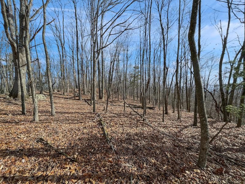 Pilot, Montgomery County, VA Recreational Property, Undeveloped Land