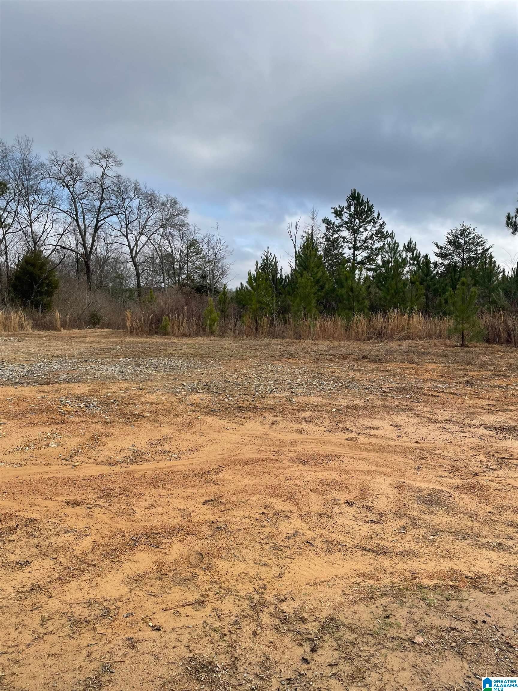 Eastaboga, Calhoun County, AL Homesites for sale Property ID 415623865