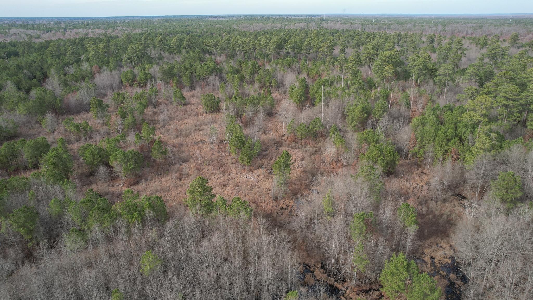 New Boston, Bowie County, TX Farms and Ranches, Recreational Property