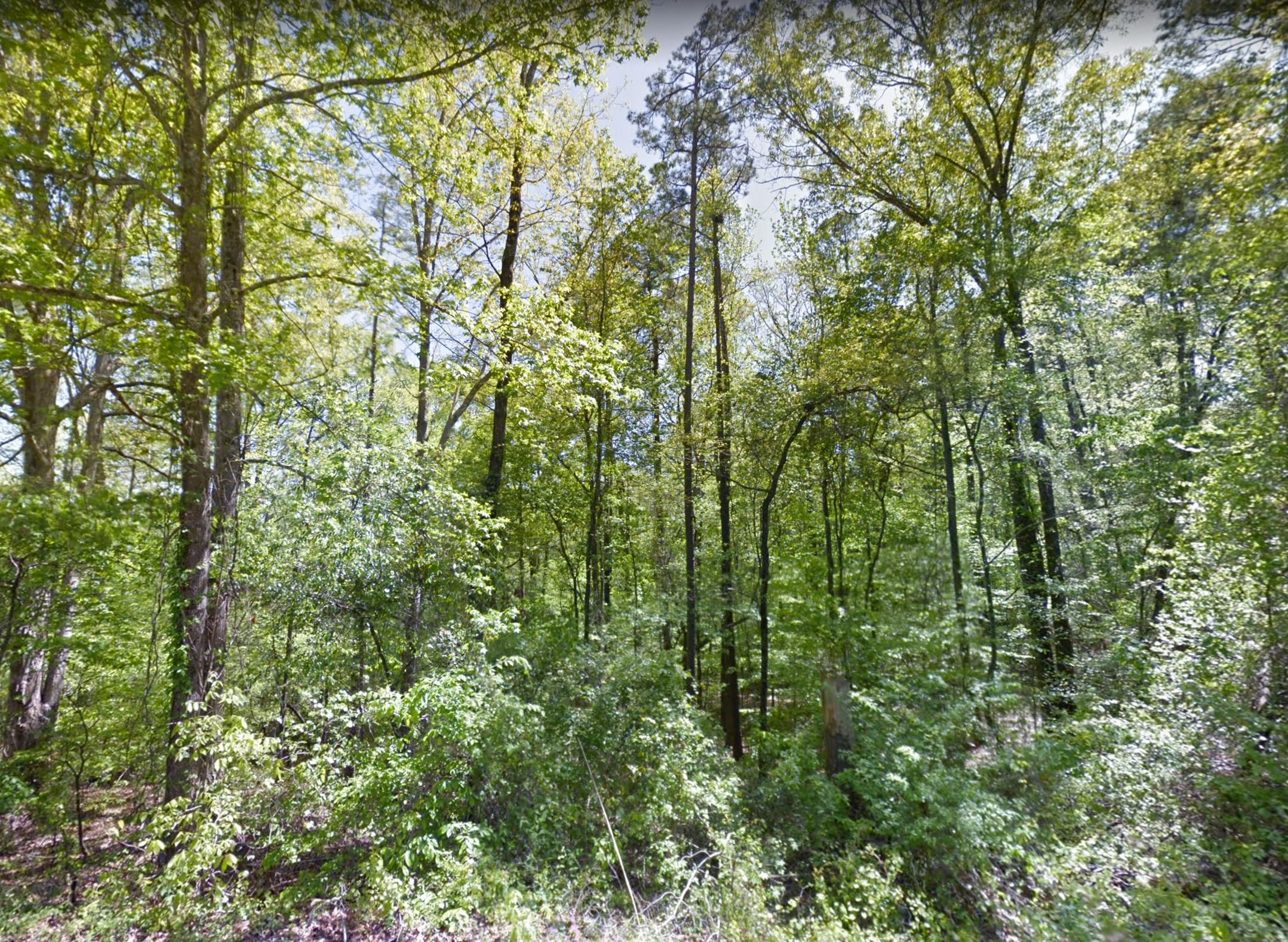 Fayette, Tuscaloosa County, AL Recreational Property, Horse Property