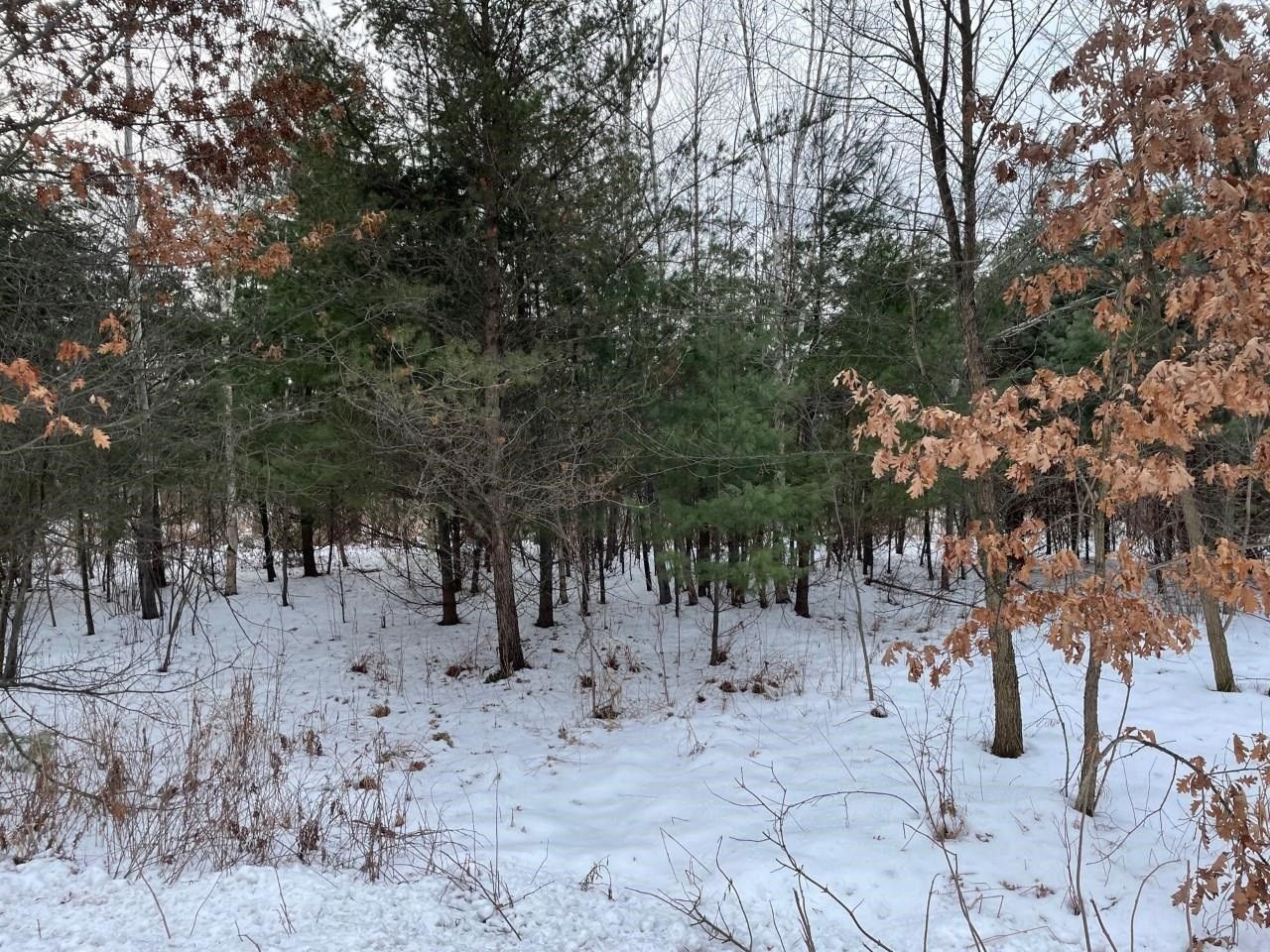 Port Edwards, Wood County, WI Farms and Ranches, Homesites for sale