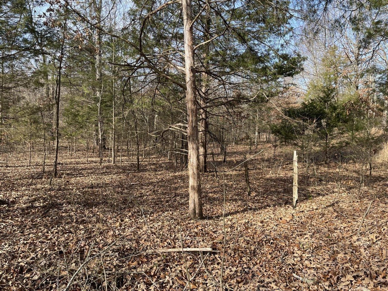 Toadpole Rd, Sidney, AR 72577 LandWatch