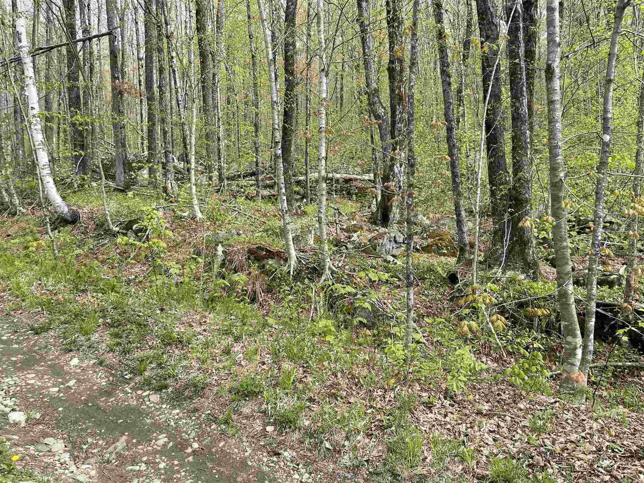 Mendon, Rutland County, VT Undeveloped Land, Homesites for sale
