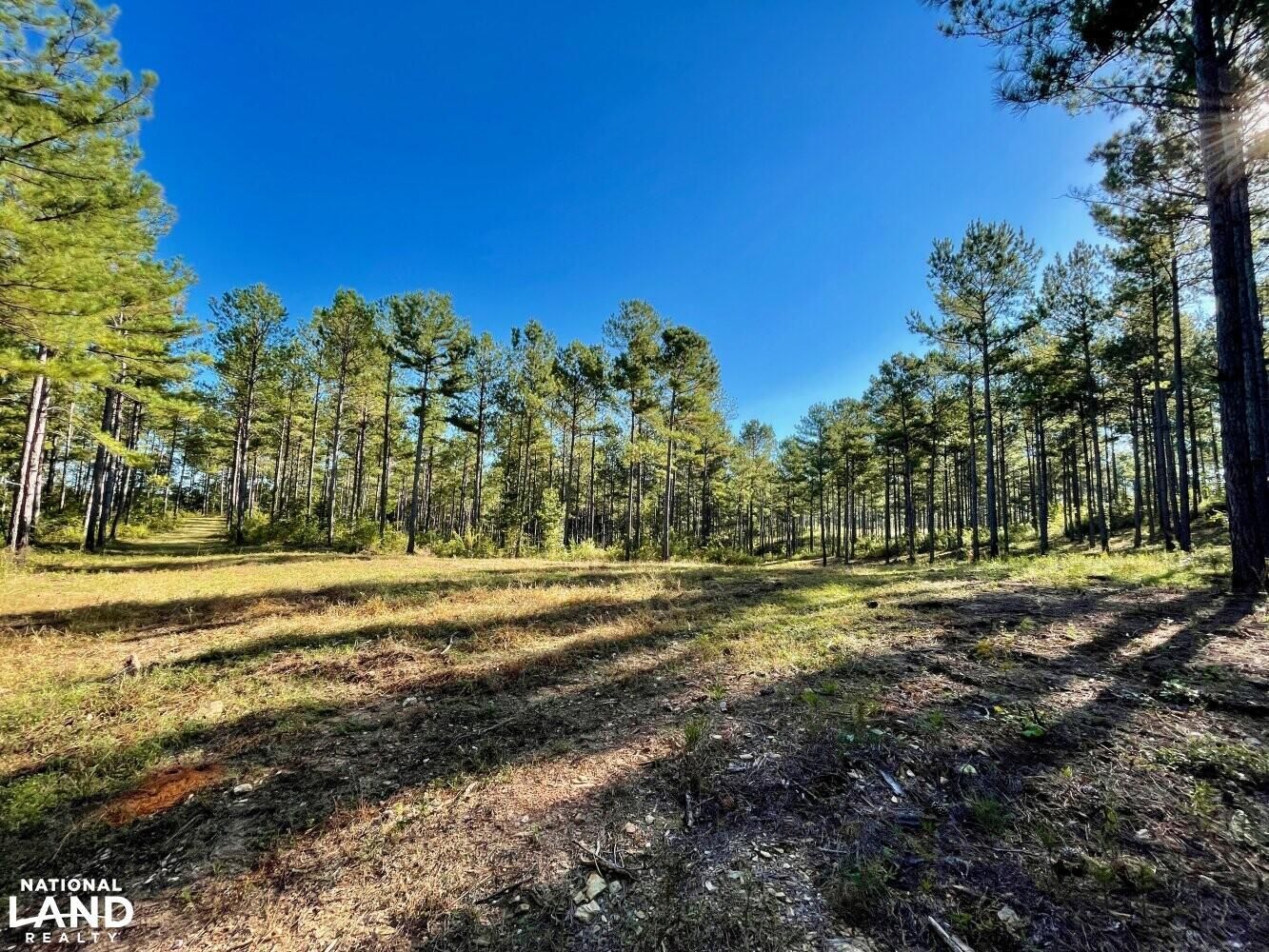 Cragford, Clay County, AL Recreational Property, Timberland Property