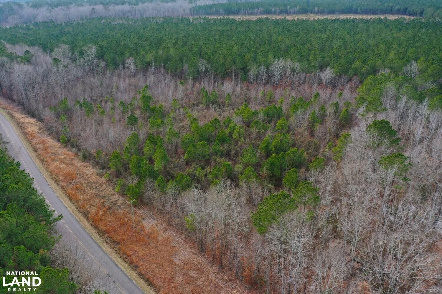 Windsor, Bertie County, NC Recreational Property, Timberland Property