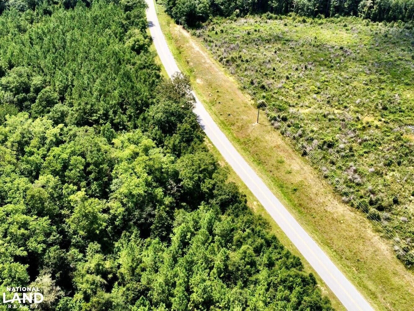 Florala, Covington County, AL Farms and Ranches, Timberland Property