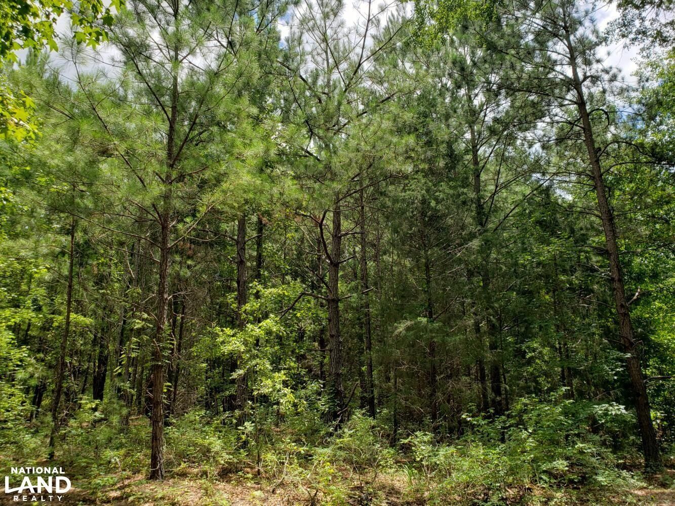 Clayton, Barbour County, AL Recreational Property, Timberland Property