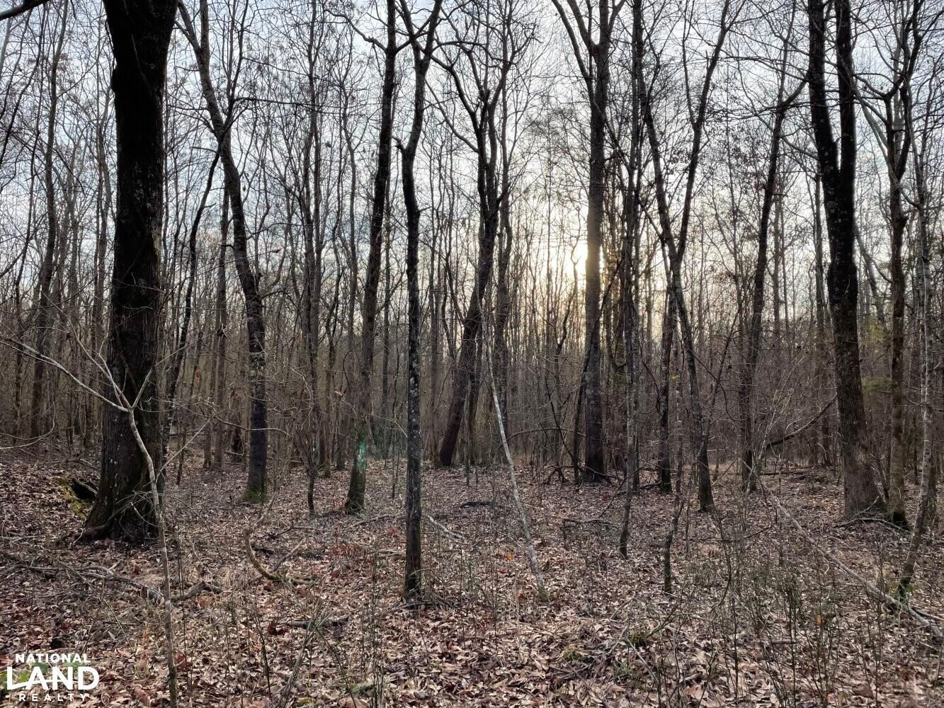 Kilmichael, Montgomery County, MS Recreational Property, Timberland