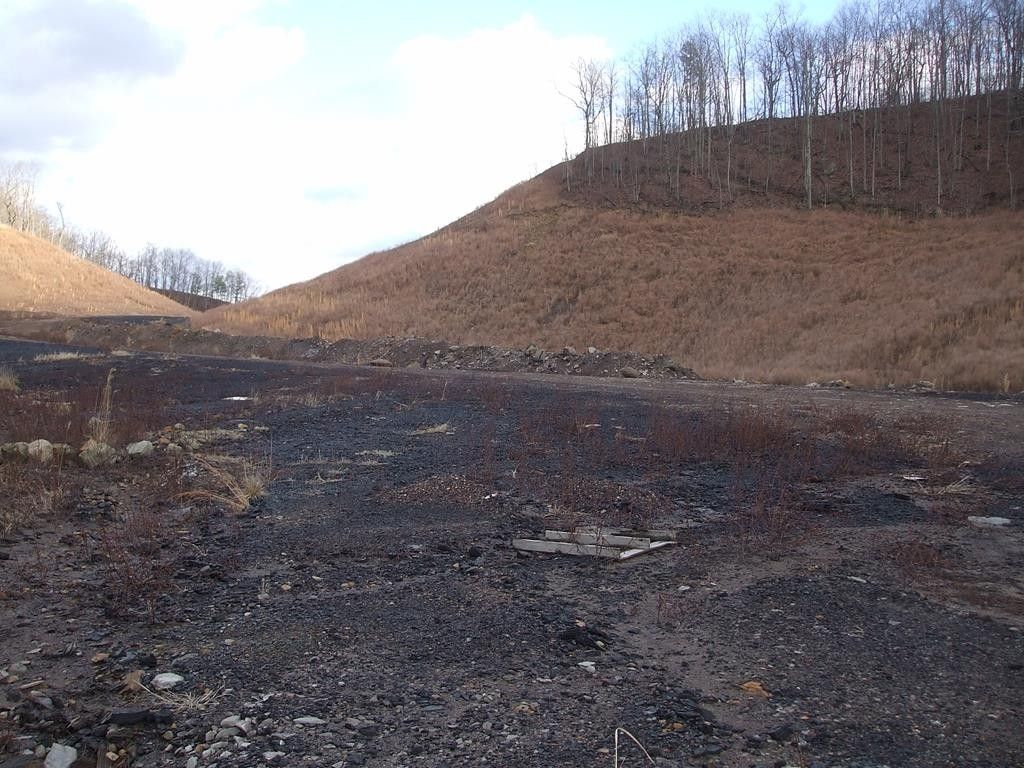 Royalton, Magoffin County, KY Undeveloped Land for sale Property ID