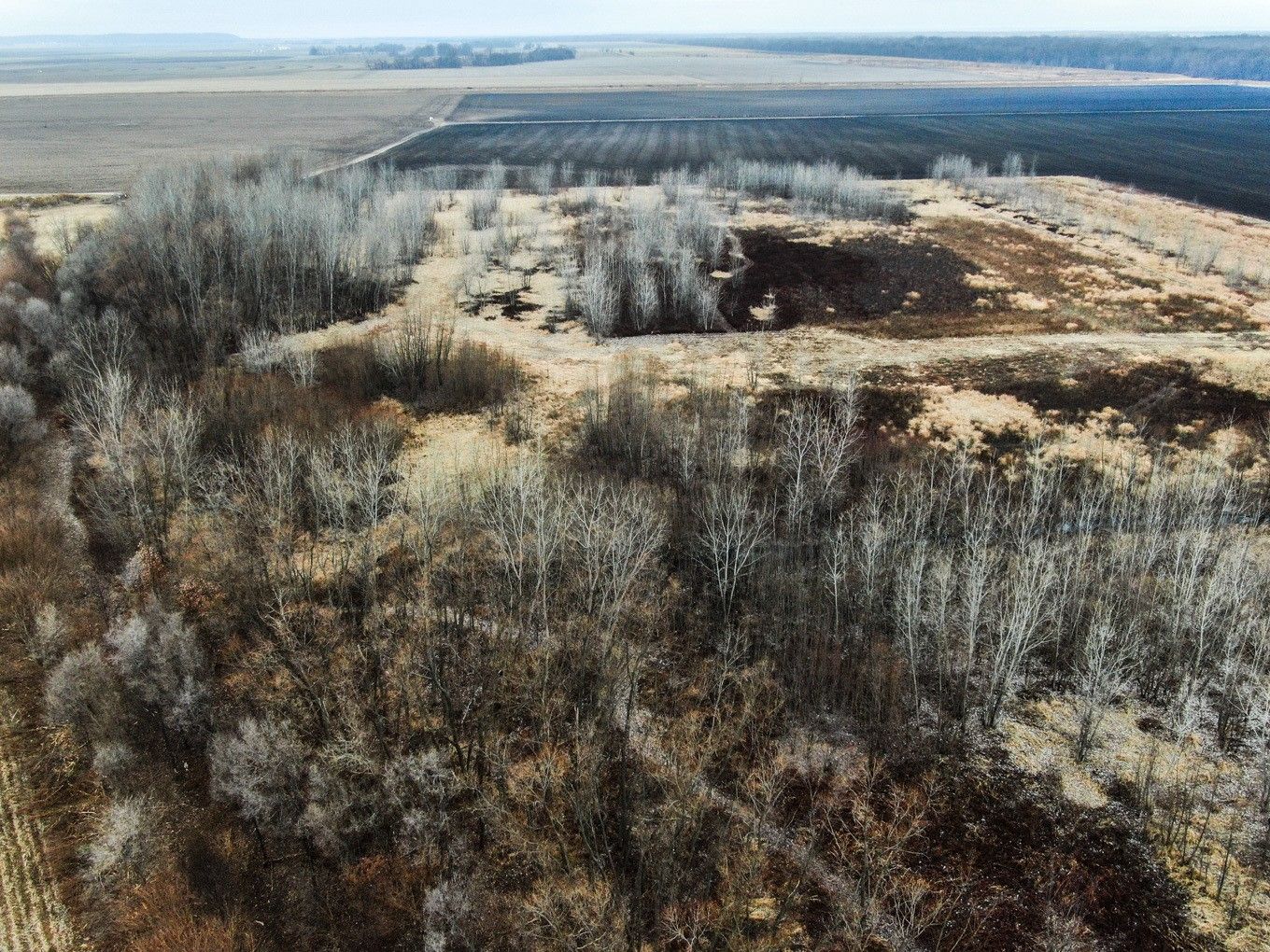 Chandlerville, Cass County, IL Farms and Ranches for sale Property ID