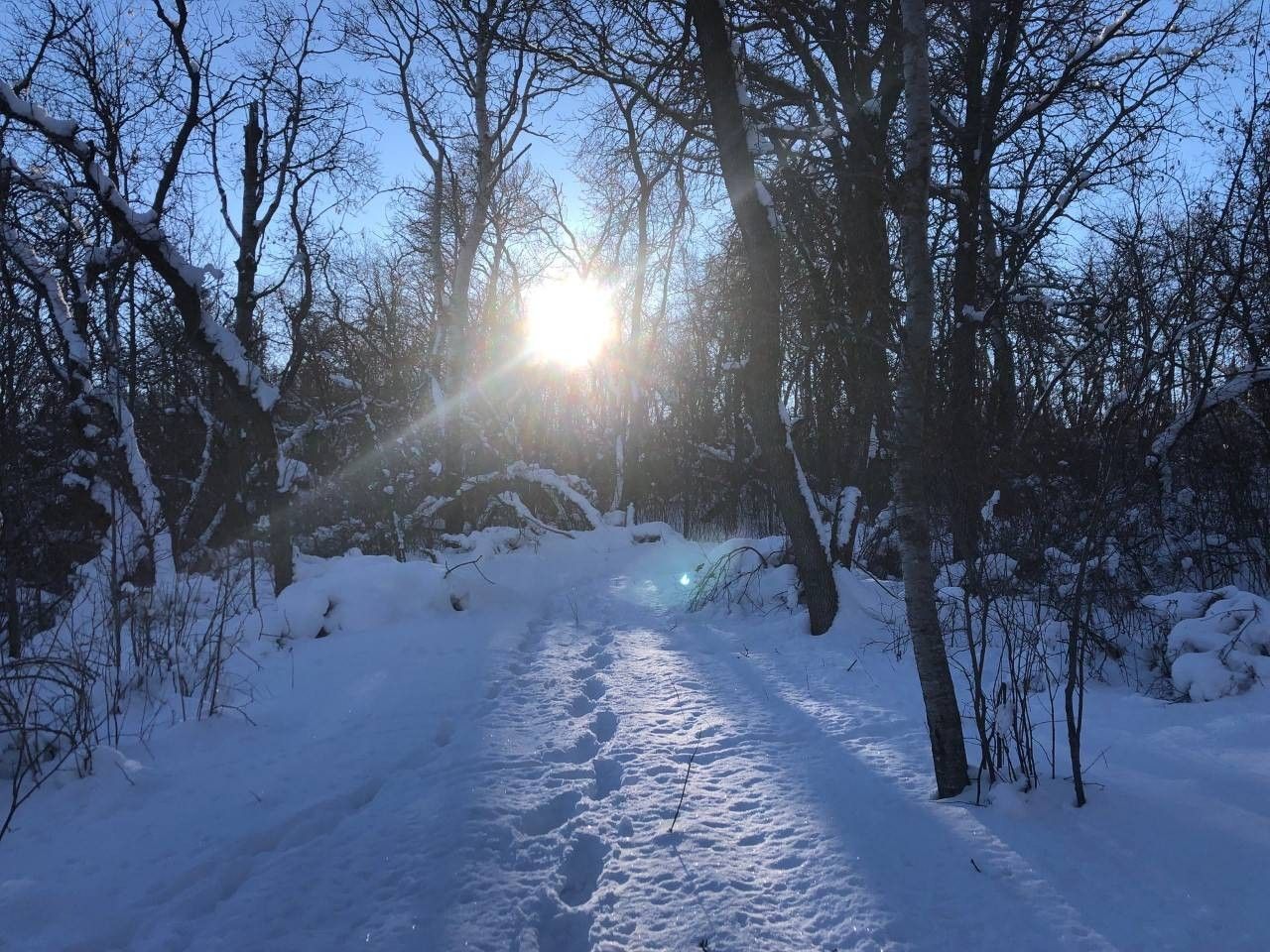 Bottineau, Bottineau County, ND Undeveloped Land for sale Property ID