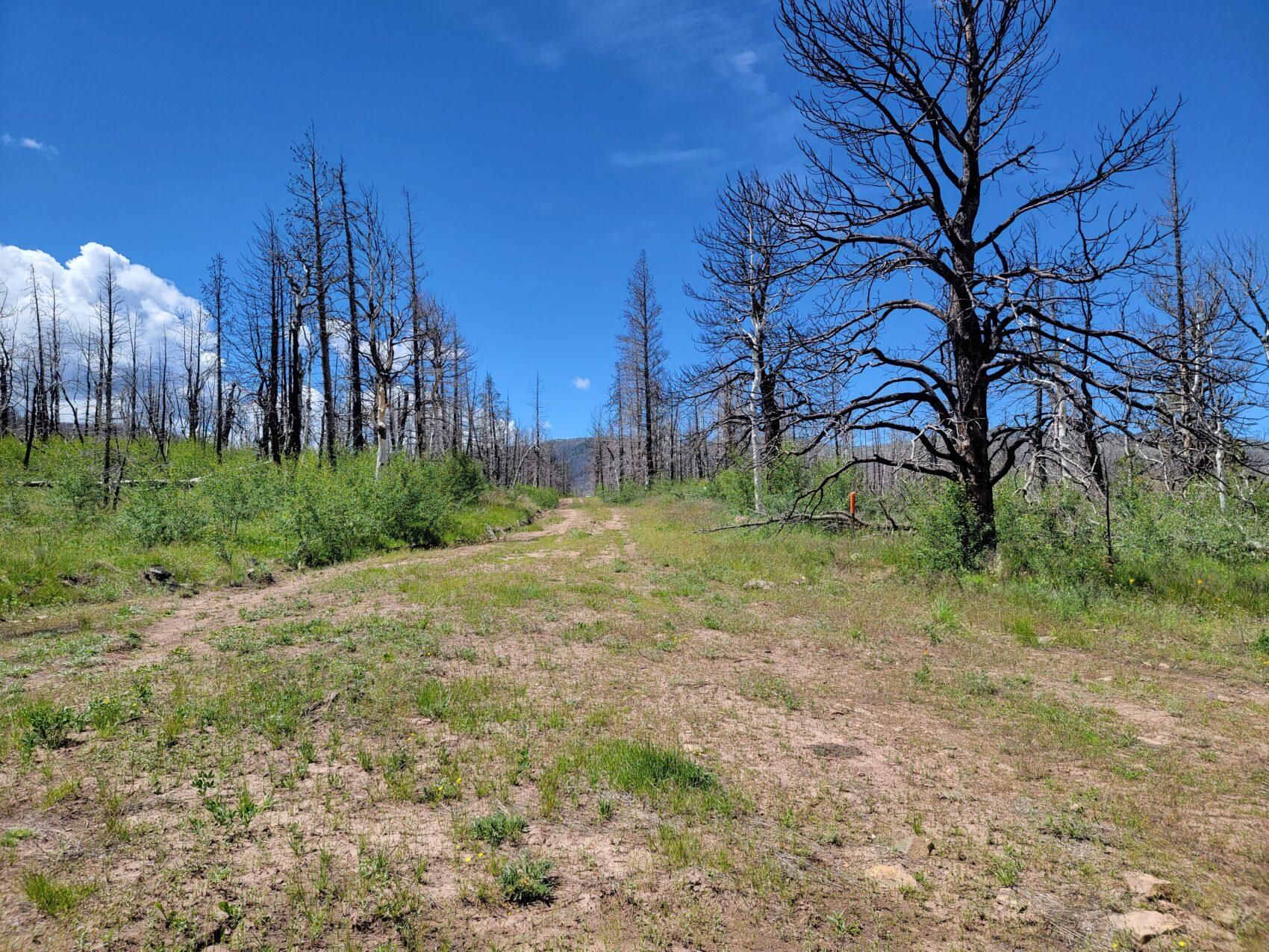 Fort Garland, Costilla County, CO Recreational Property, Hunting