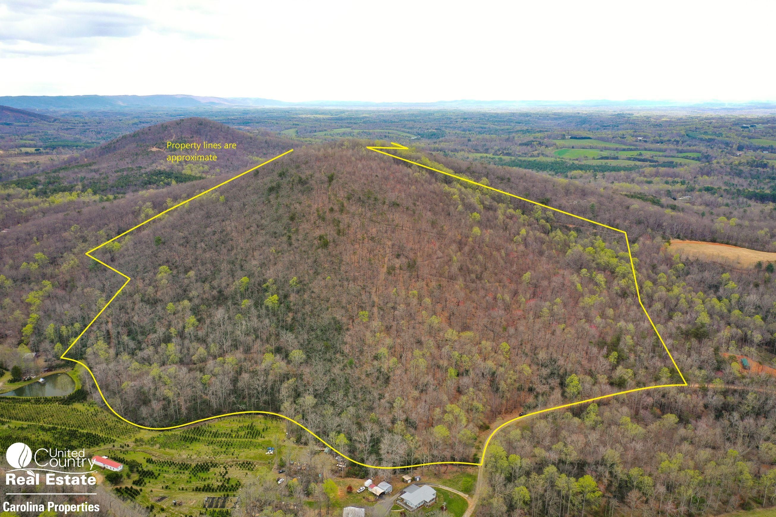 Lowgap, Surry County, NC Recreational Property, Timberland Property