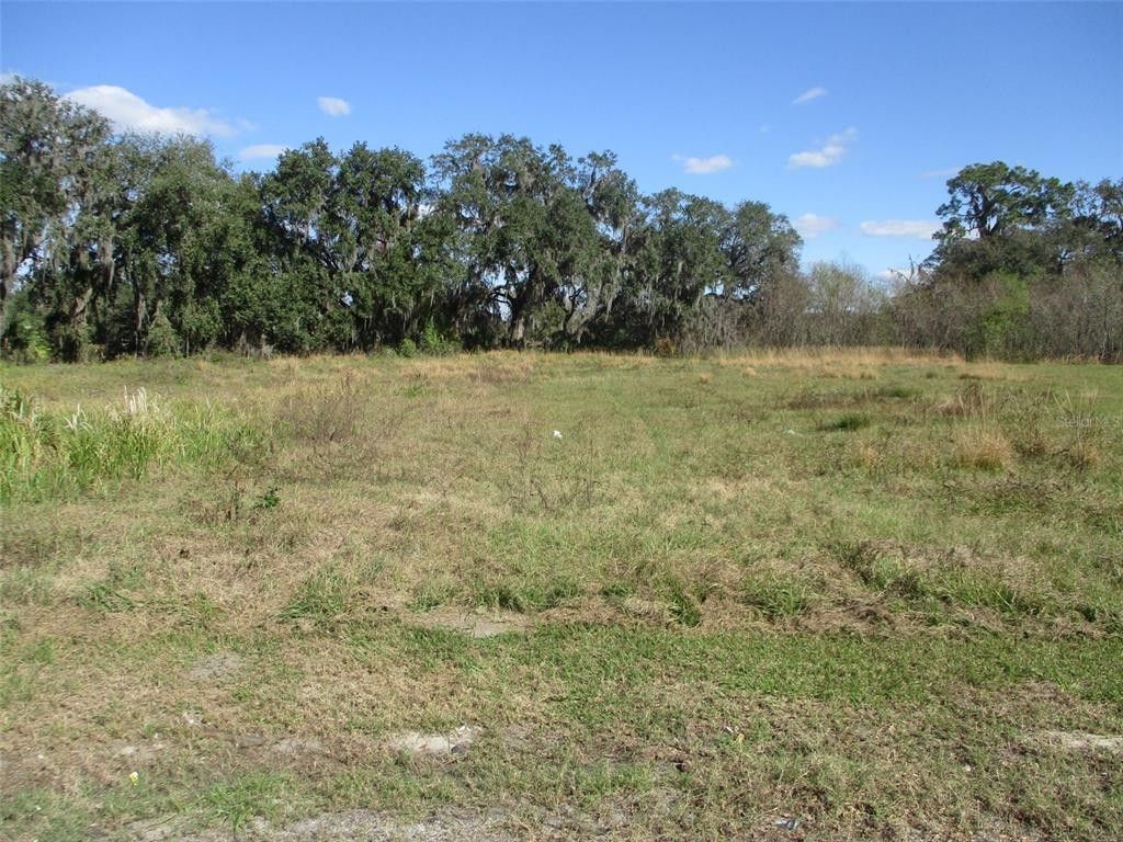 Plant City, Hillsborough County, FL Undeveloped Land, Homesites for