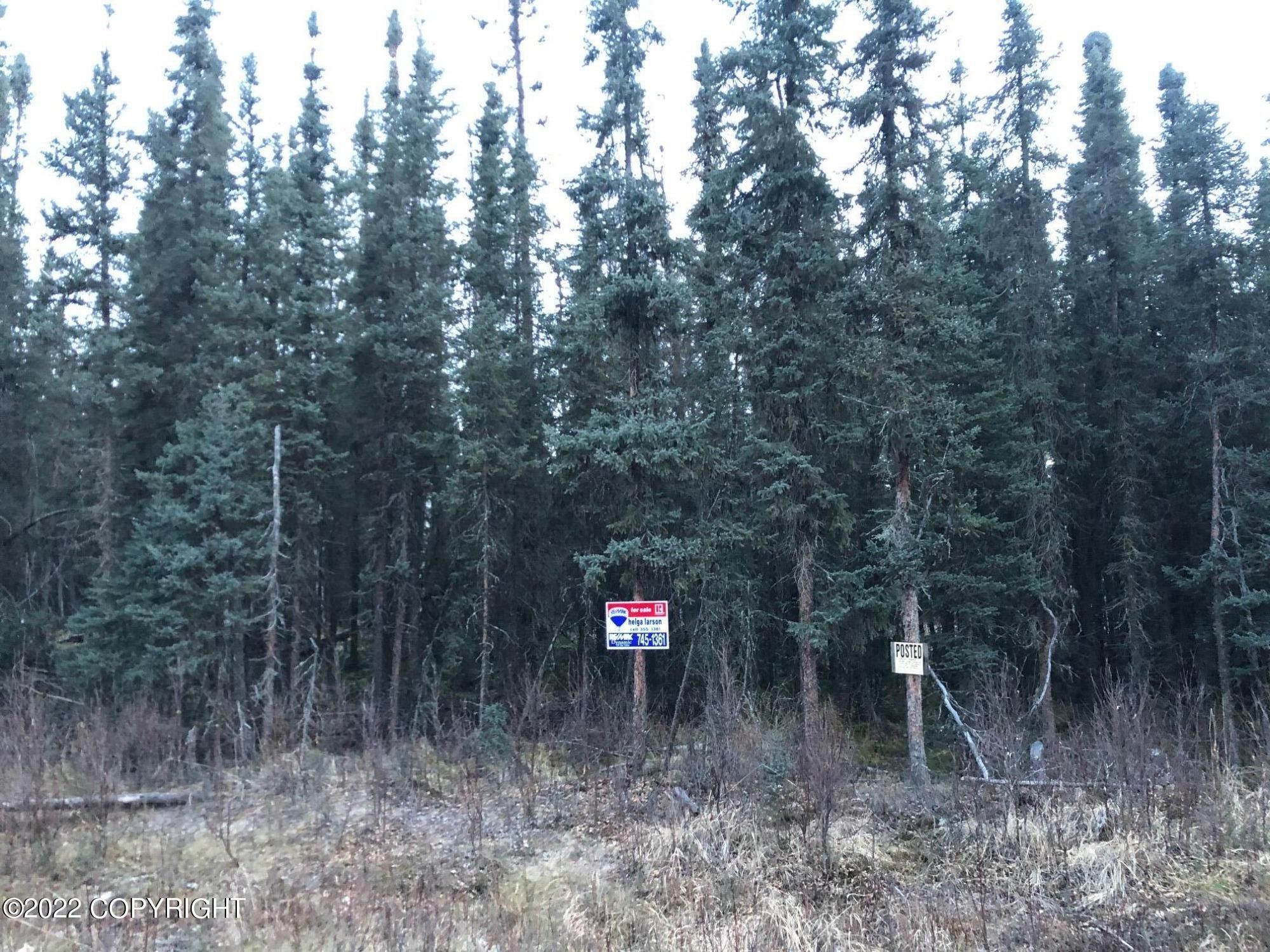 Wasilla, MatanuskaSusitna Borough, AK Undeveloped Land, Homesites for sale Property ID