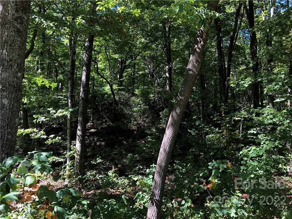 Hendersonville, Henderson County, NC Undeveloped Land, Homesites for