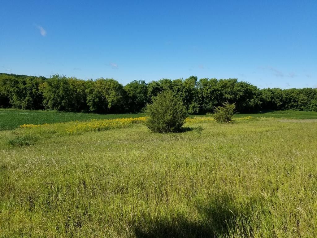 Saint Augusta, Stearns County, MN Farms and Ranches for sale Property ID 415633513 LandWatch