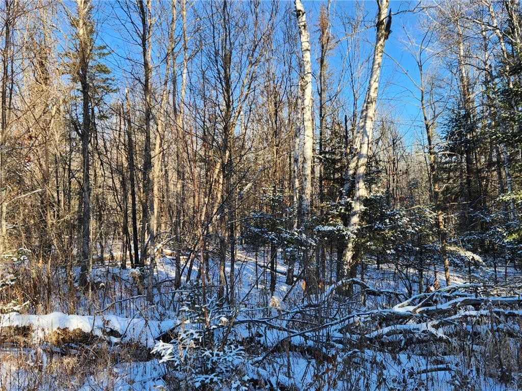 Sturgeon Lake, Pine County, MN Undeveloped Land for sale Property ID