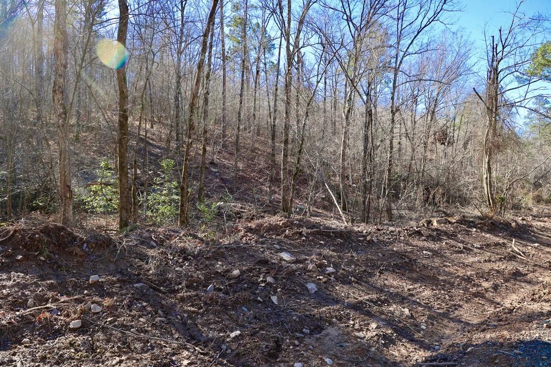 Honobia, Le Flore County, OK Recreational Property, Undeveloped Land