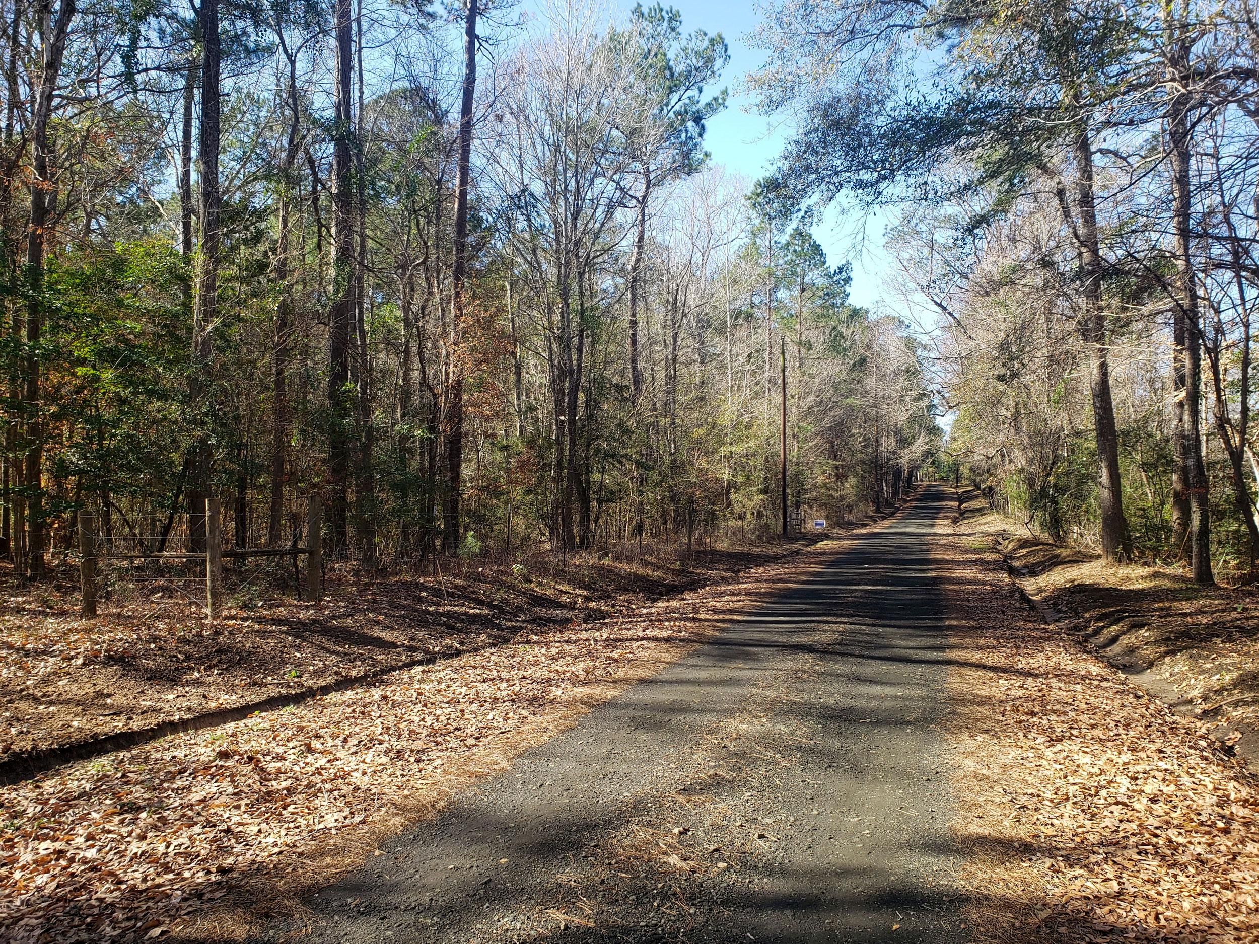 Woodville, Tyler County, TX Recreational Property, Timberland Property