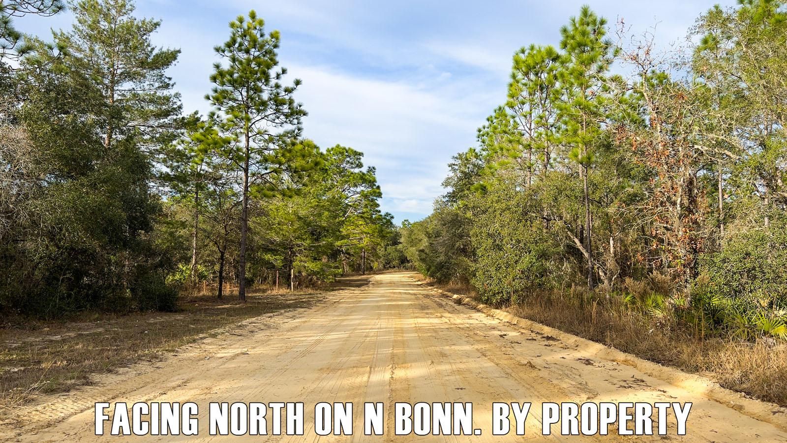 Owner Finance6420 W Kampala Ln, Dunnellon, FL 34433 MLS