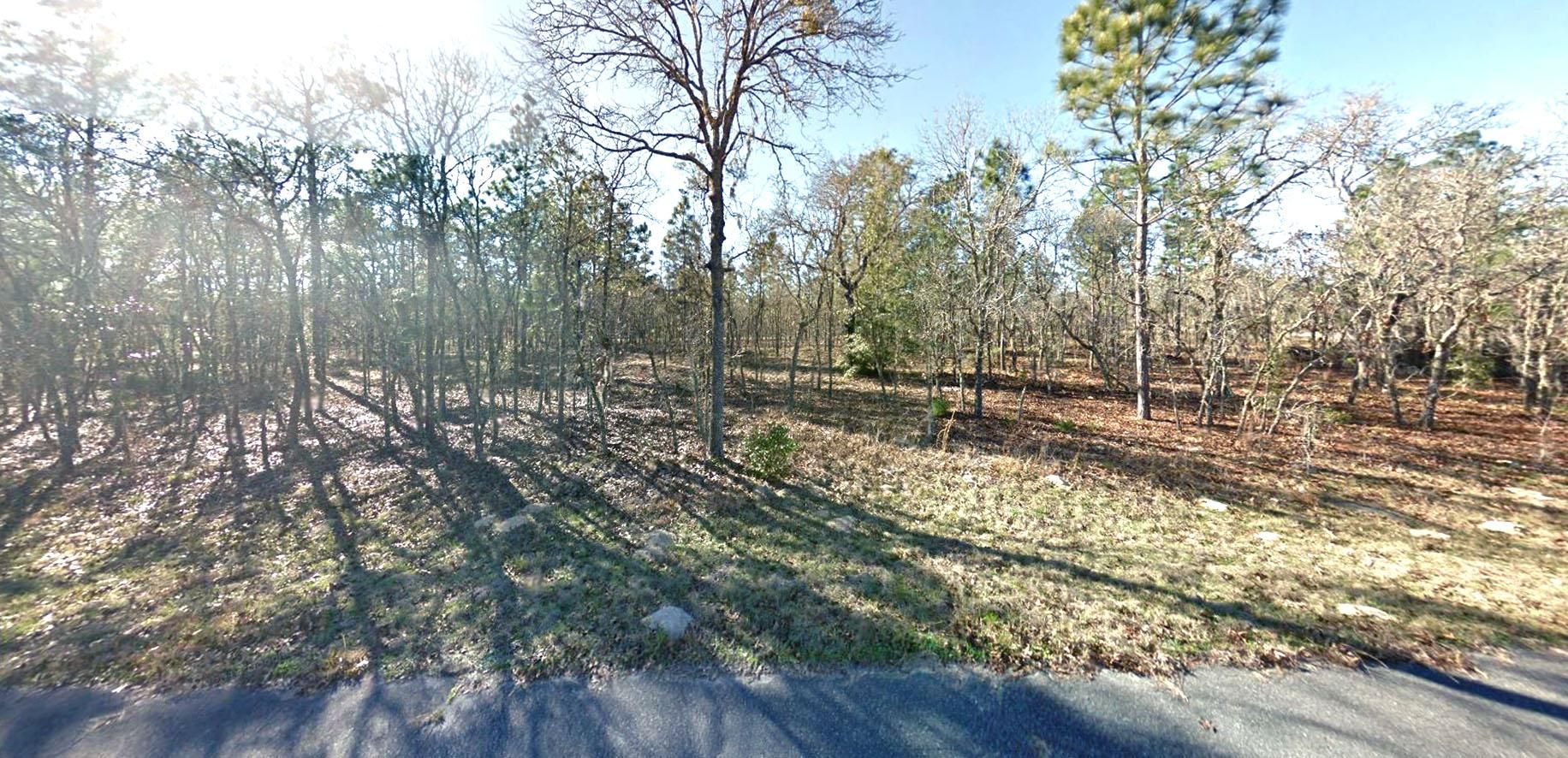 Williston, Levy County, FL Recreational Property, Undeveloped Land