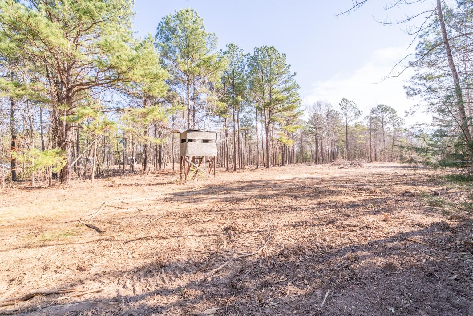 Ore City, Upshur County, TX Recreational Property, Undeveloped Land
