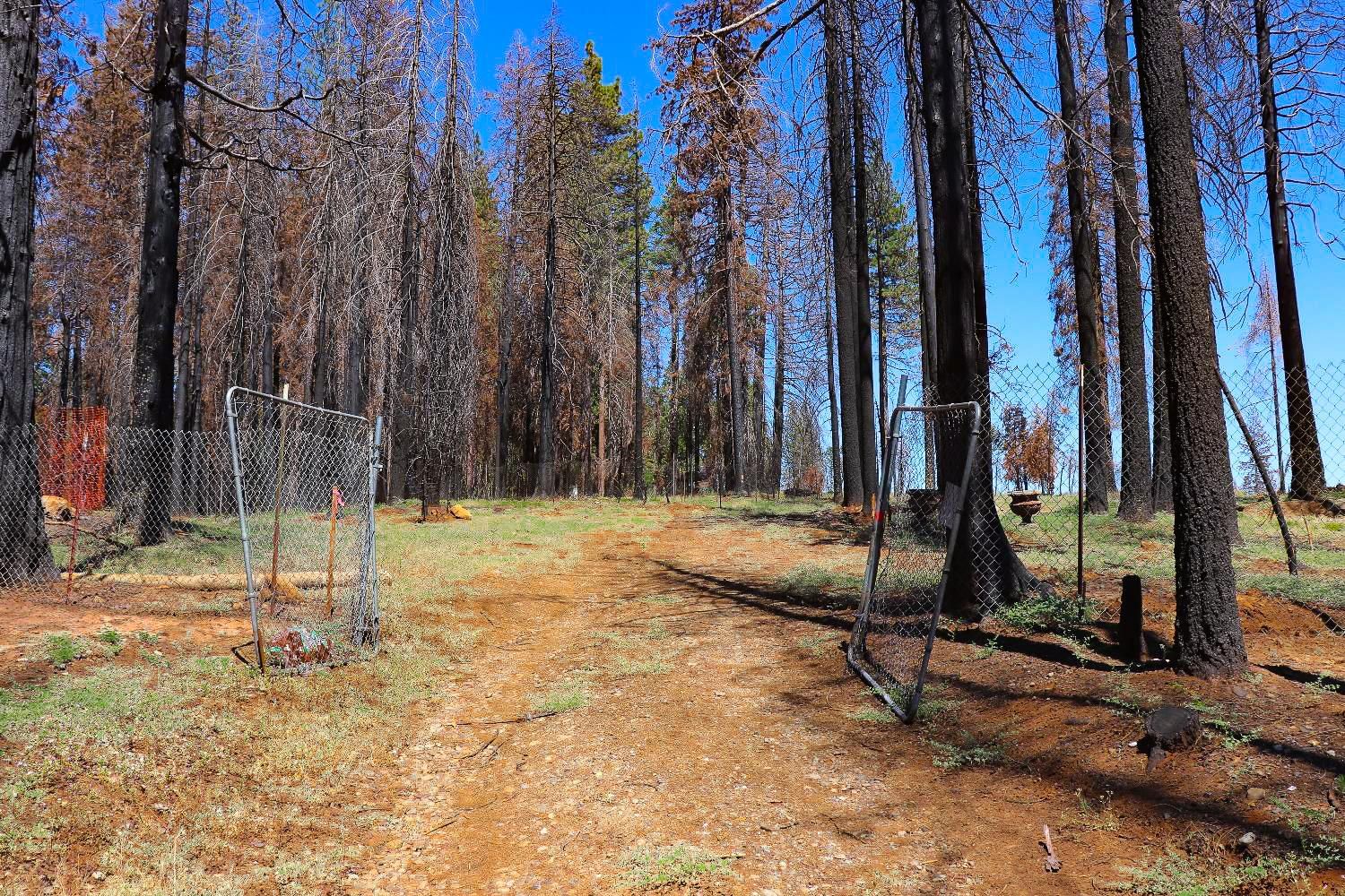 Grizzly Flats, El Dorado County, CA Recreational Property, Undeveloped