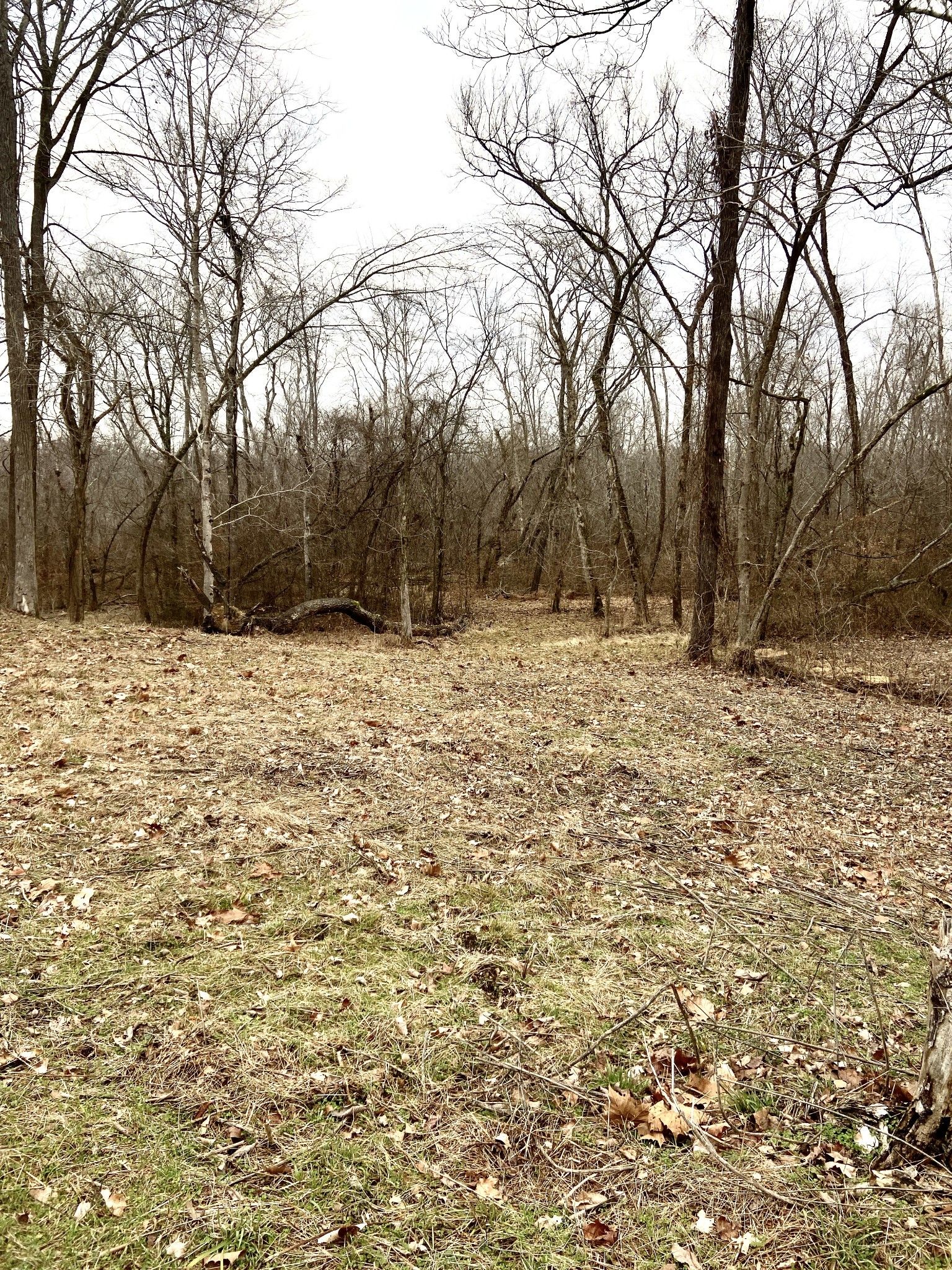 1228 Lower Roans Creek Rd, Lobelville, TN 37097 MLS 2474160 LandWatch