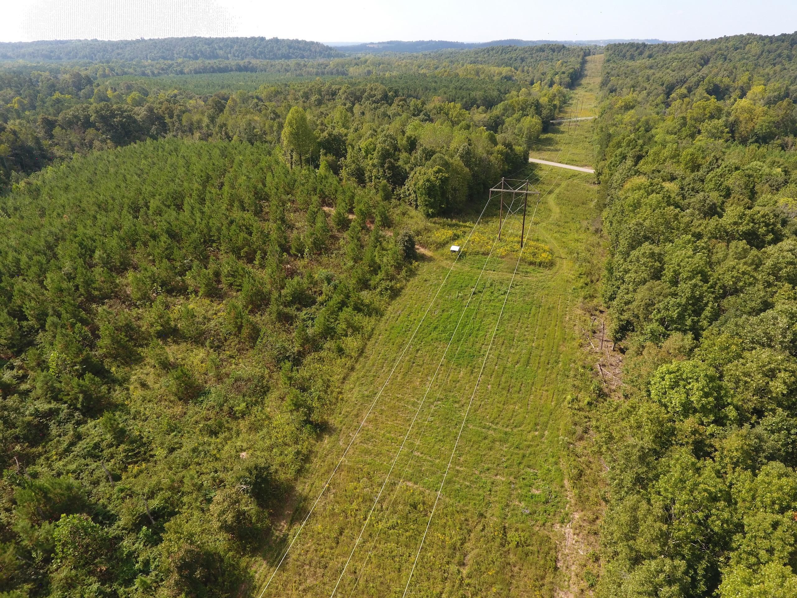 Smithland, Livingston County, KY Recreational Property, Timberland