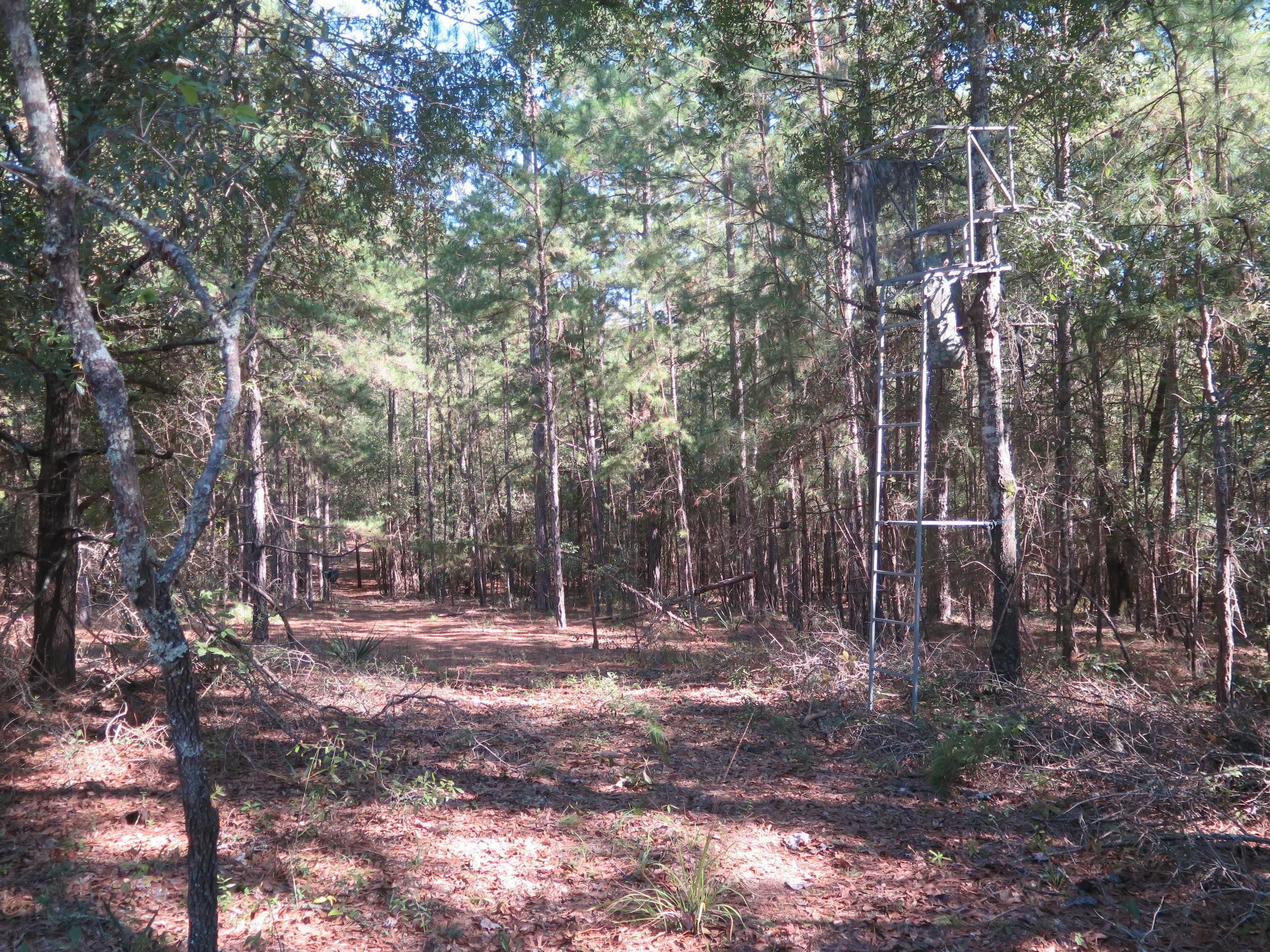 Louin, Jasper County, MS Recreational Property, Timberland Property