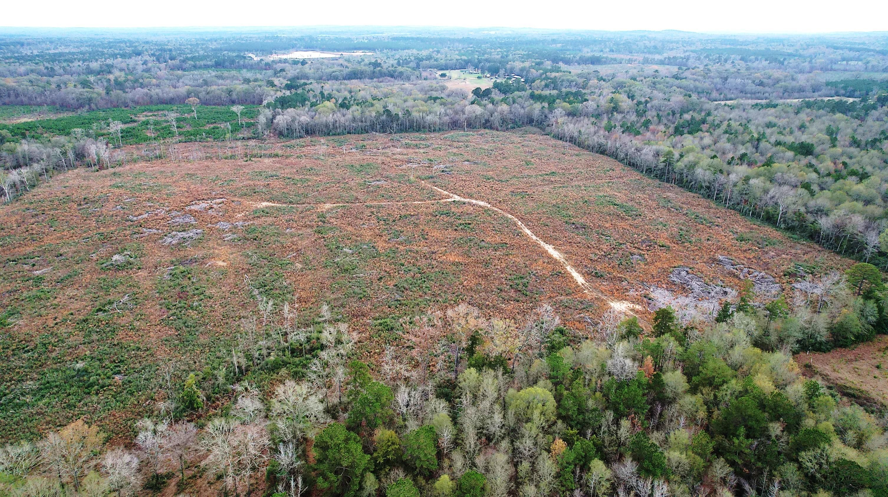 County Road 4243, Timpson, TX 75974 LandWatch