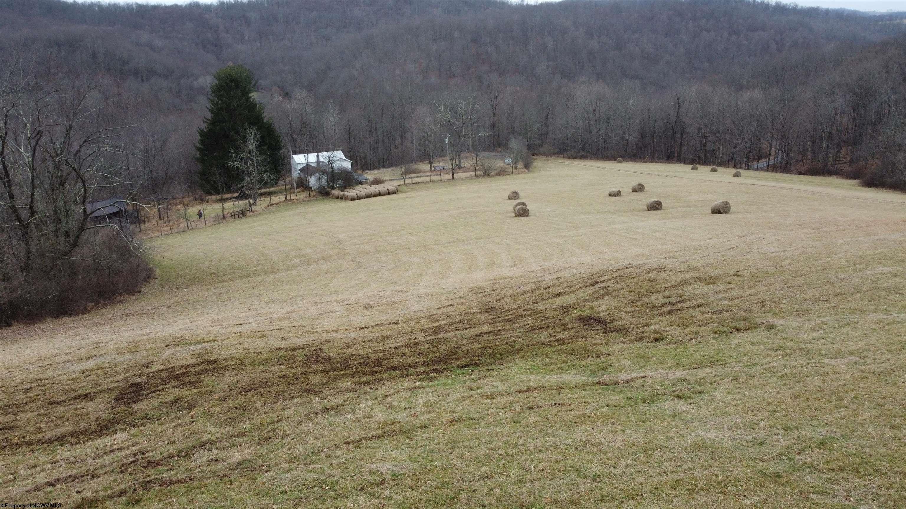 Moatsville, Barbour County, WV Farms and Ranches, Lakefront Property