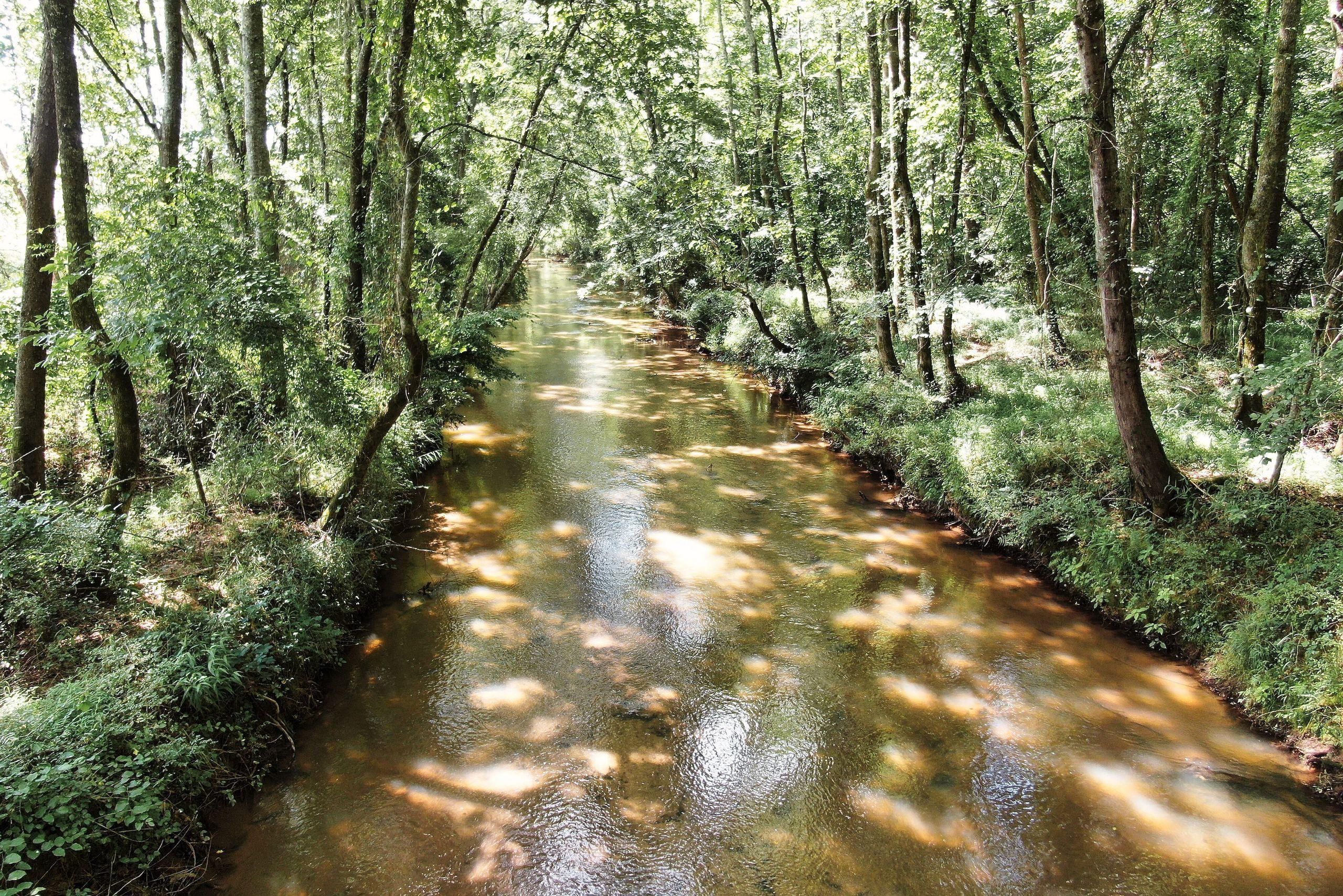 Piedmont, Anderson County, SC Farms and Ranches, Recreational Property