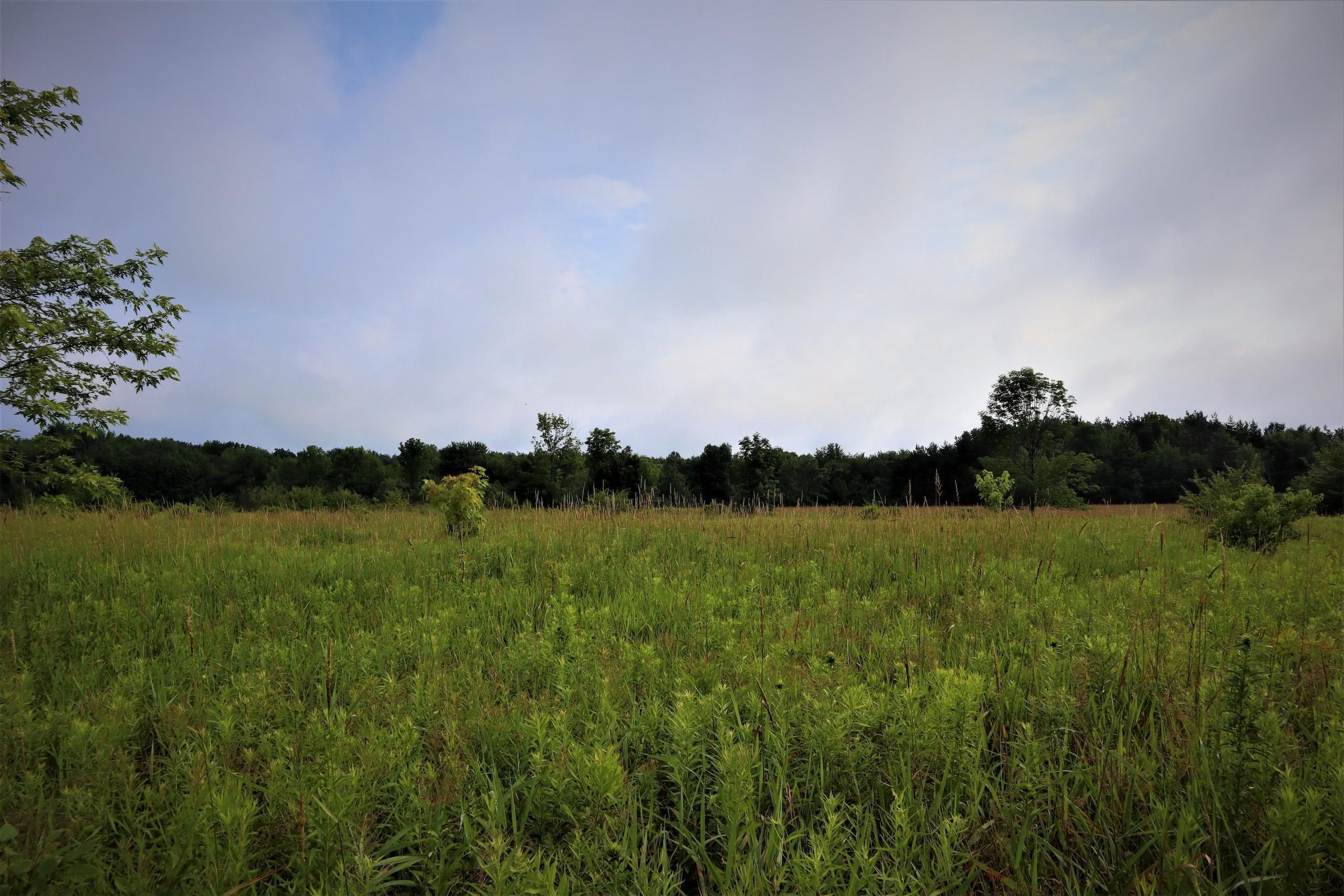 Collins Center, Erie County, NY Recreational Property, Timberland