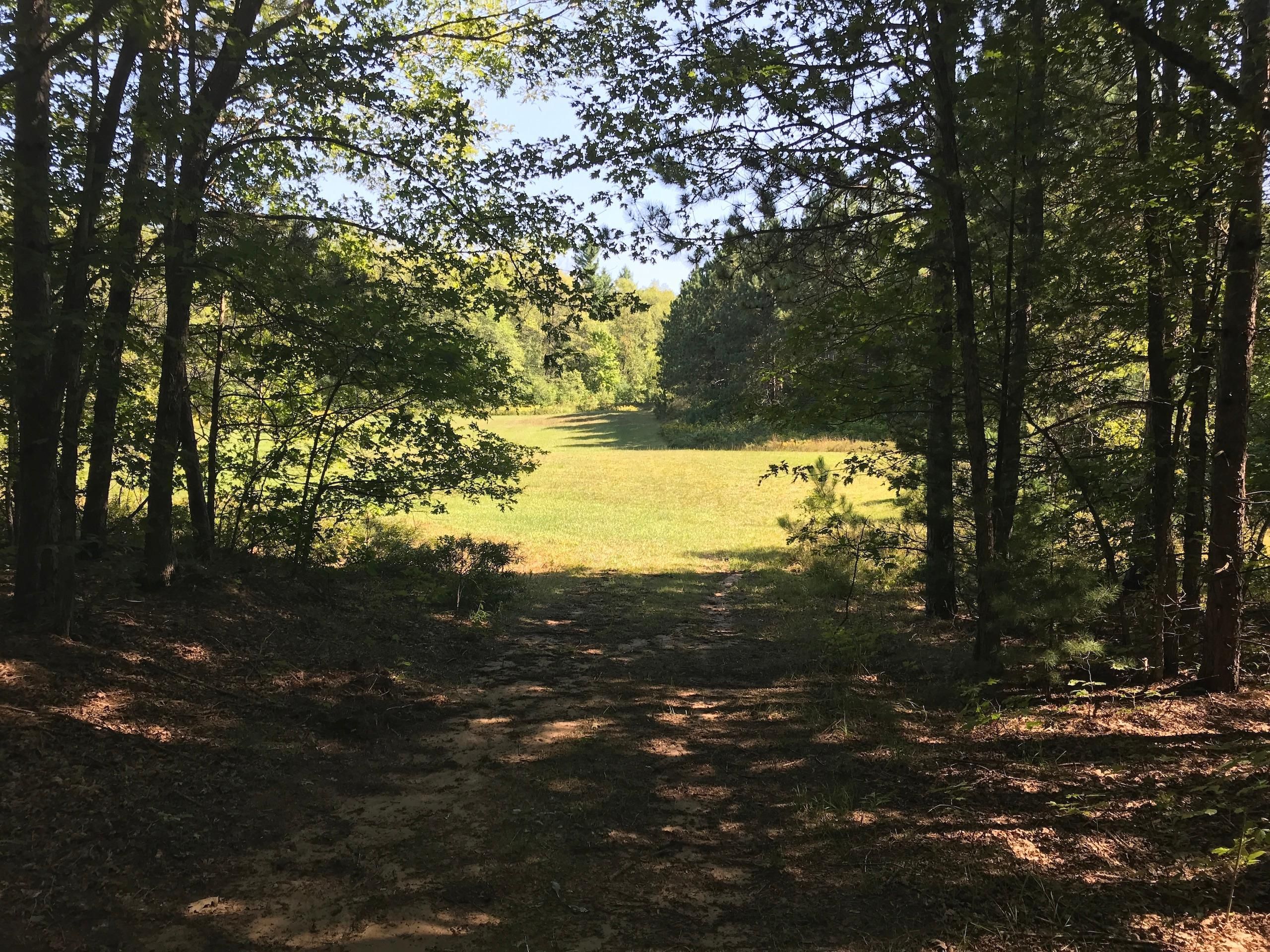 Glennie, Alcona County, MI Undeveloped Land, Hunting Property for sale