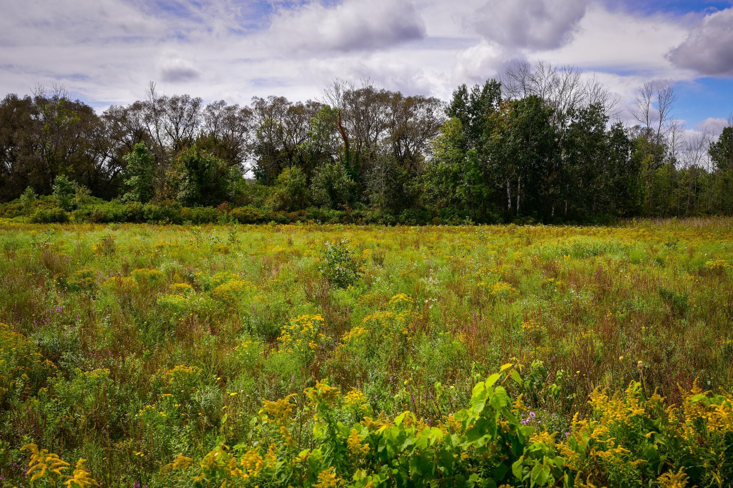 Pennellville, Oswego County, NY Farms and Ranches, Recreational