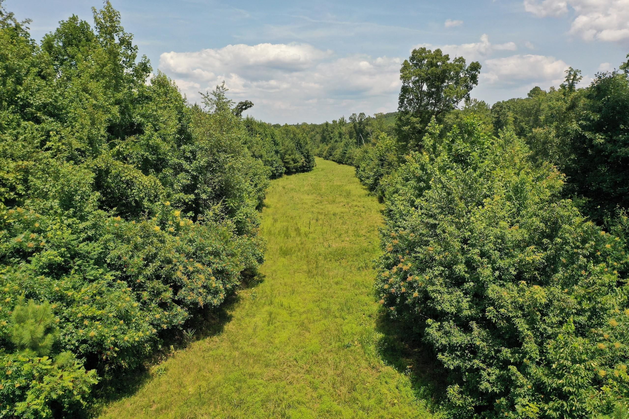 Big Sandy, Benton County, TN Farms and Ranches, Timberland Property