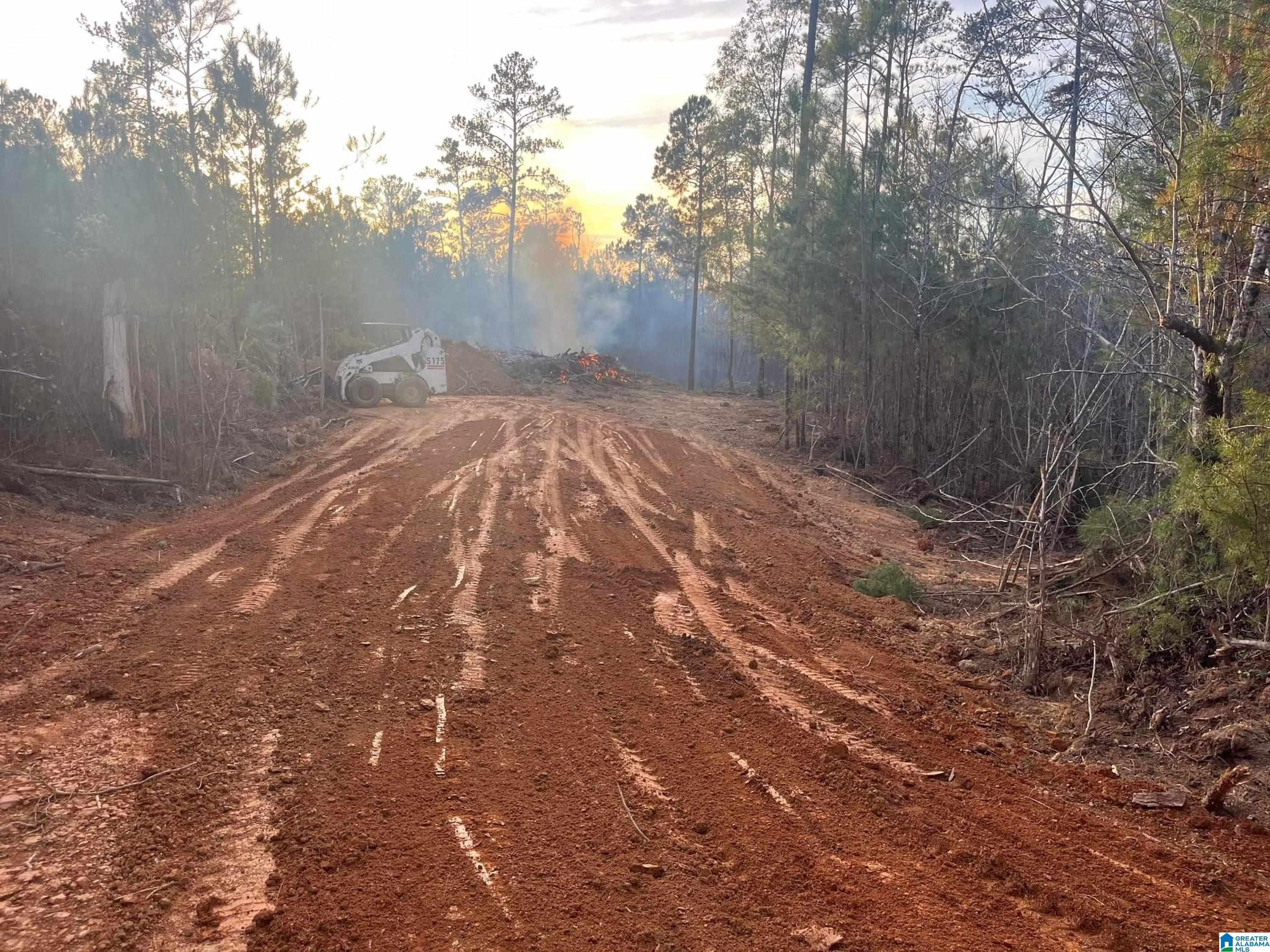 Columbiana, Shelby County, AL Farms and Ranches for sale Property ID