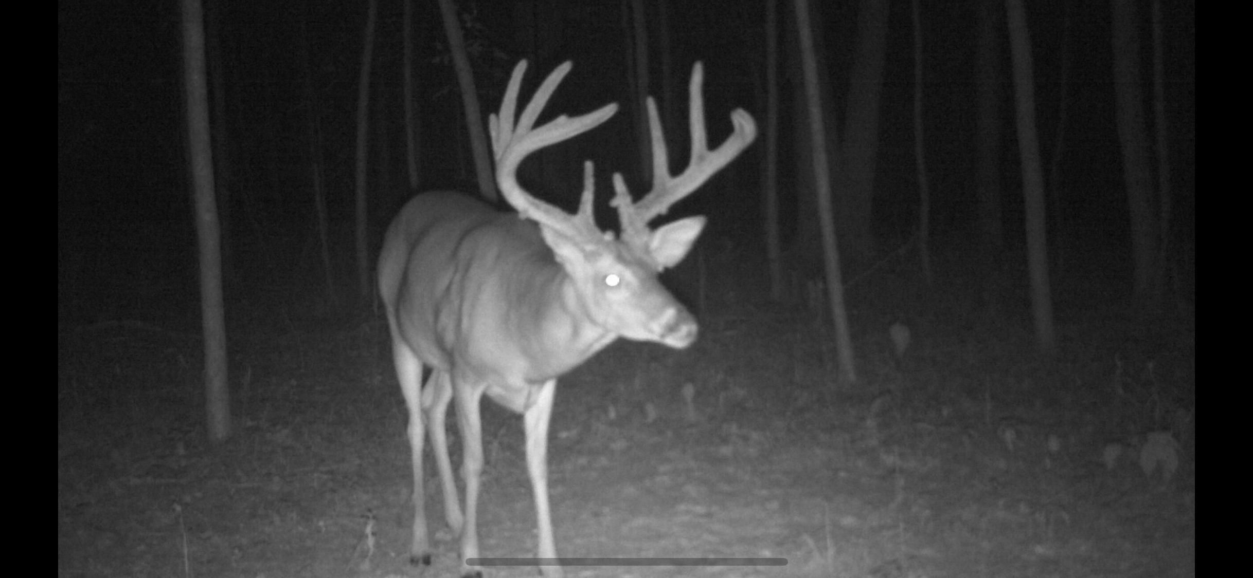 Delta, Madison Parish, LA Recreational Property, Hunting Property